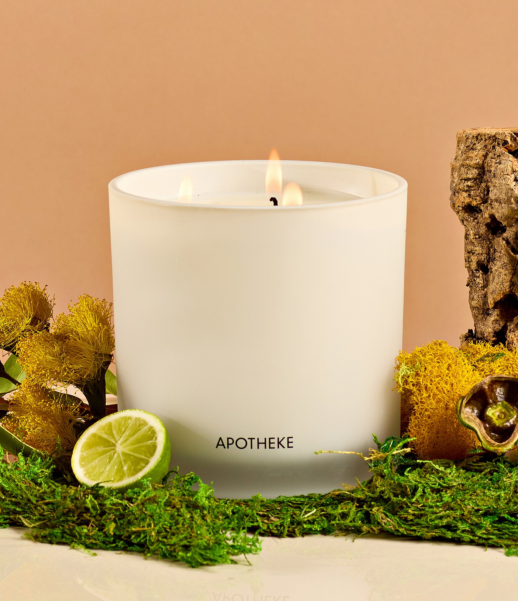 APOTHEKE White Vetiver 3-Wick Scented Candle, 26 oz.