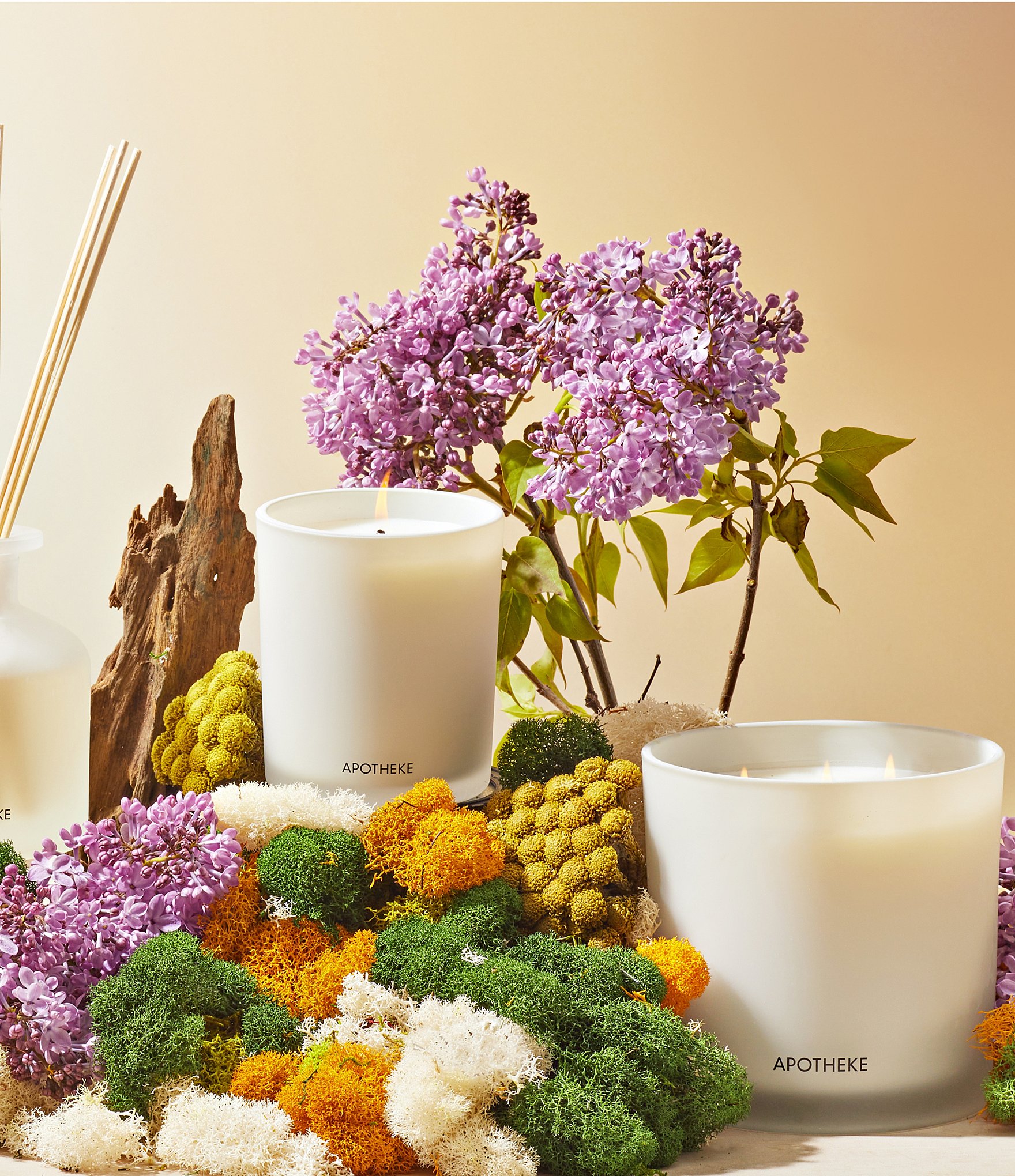 APOTHEKE White Vetiver 3-Wick Scented Candle, 26 oz.