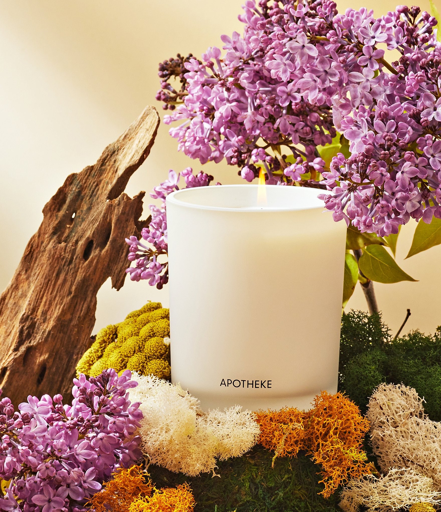 APOTHEKE White Vetiver Classic Candle, 10.5 oz.