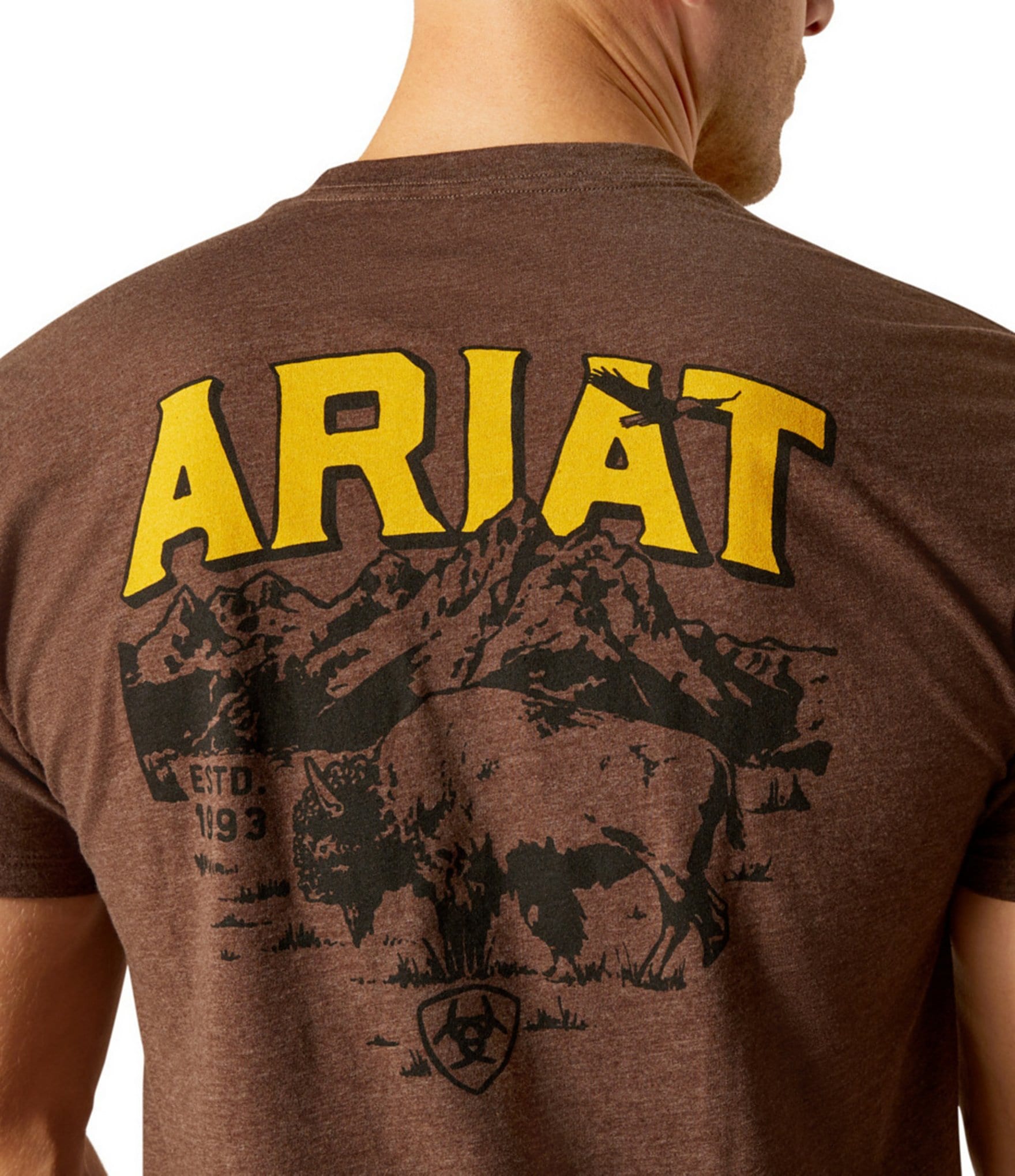 Ariat Bison Sketch Shield Short Sleeve Graphic T-Shirt