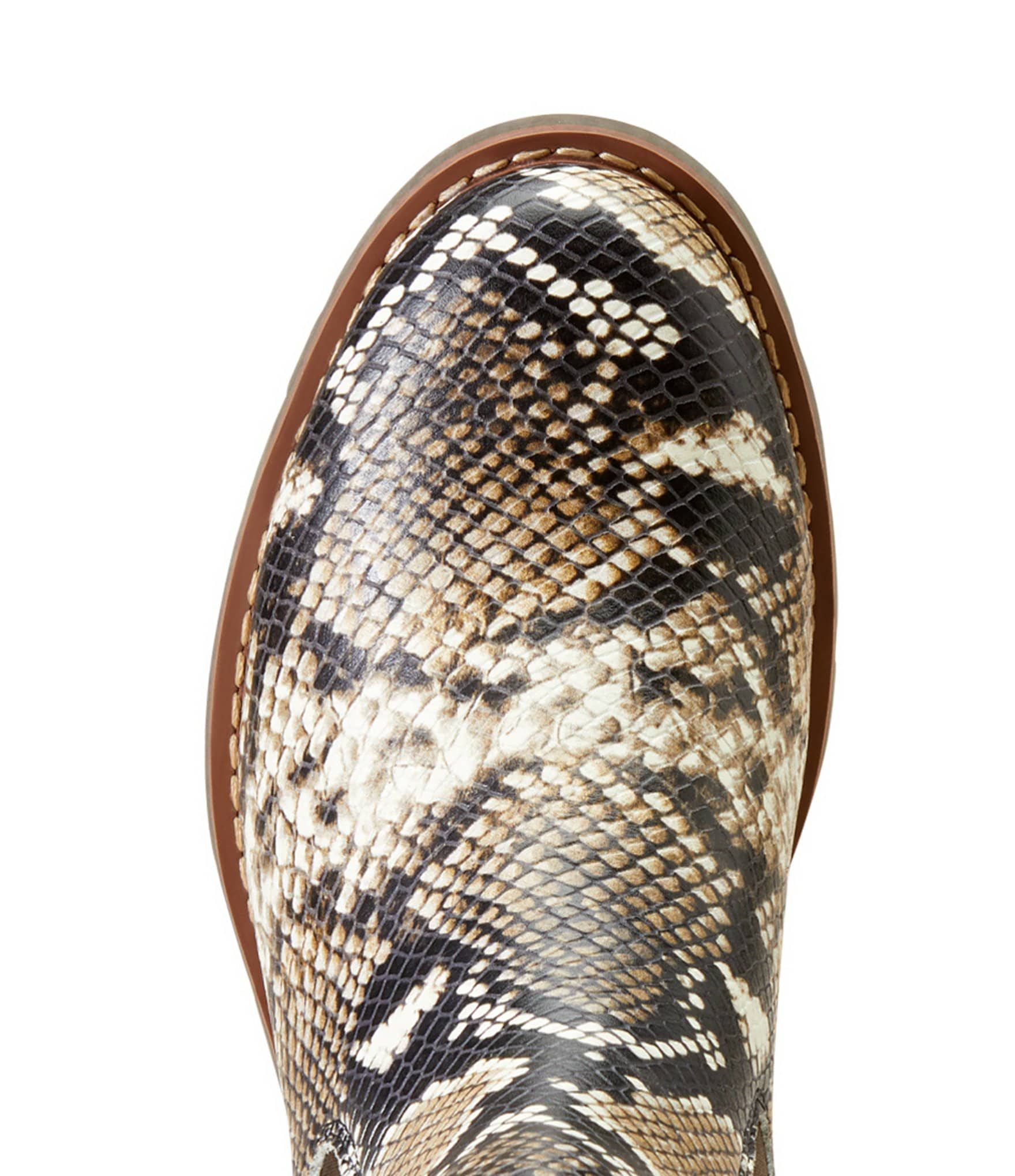 Ariat Women's Wexford Snake Print Leather Chelsea Booties