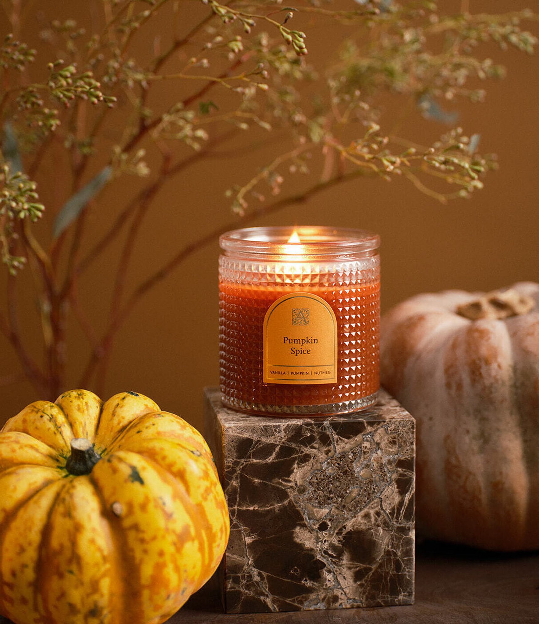 Aromatique Pumpkin Spice Textured Glass Candle With Lid, 6 oz.