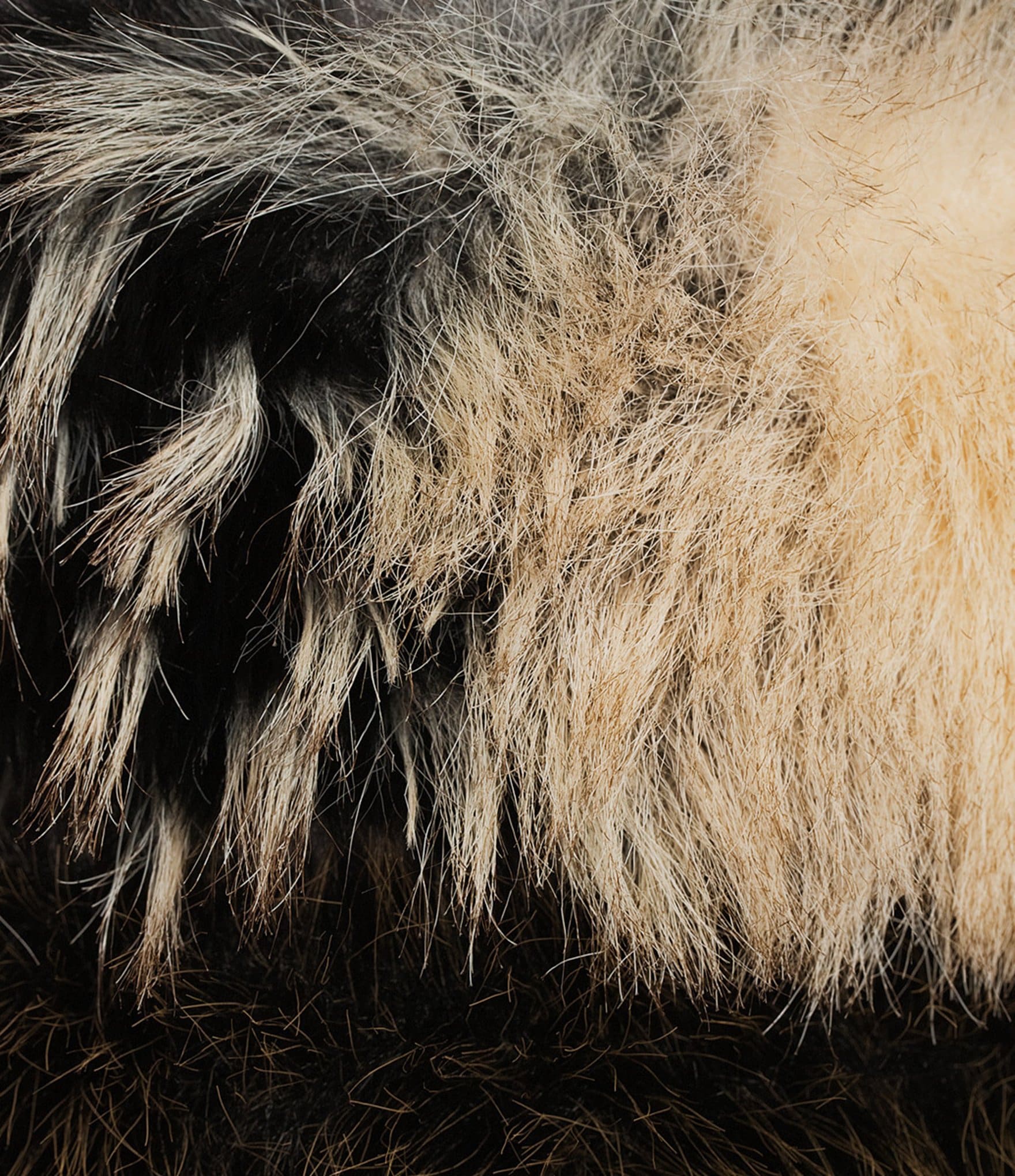 Azalea Wang Plus Size Aspen Faux Fur Brown Zigzag Multi Print Oversize Long Vest