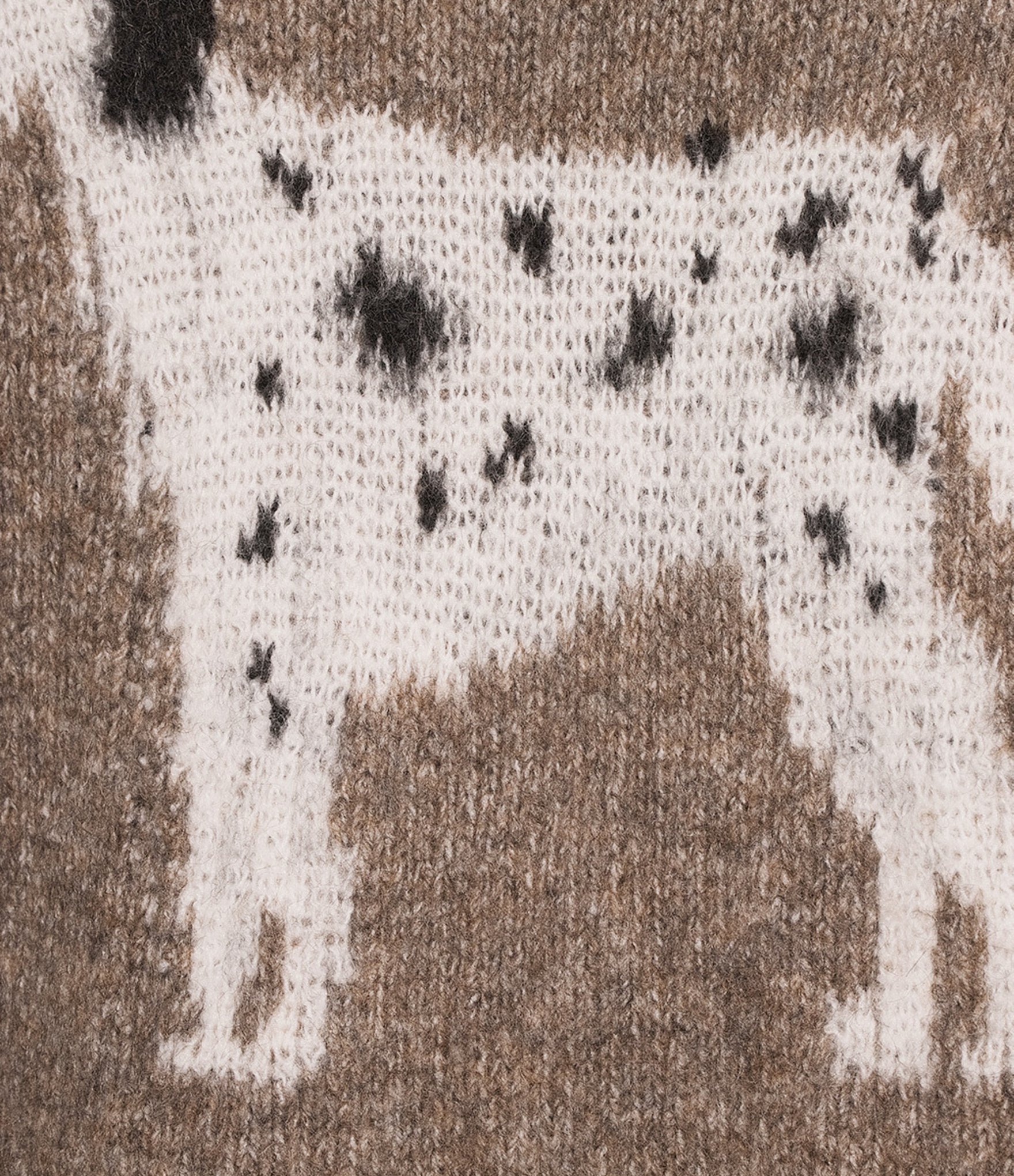 Bailey Rose Dalmatian Crew Neck Sweater
