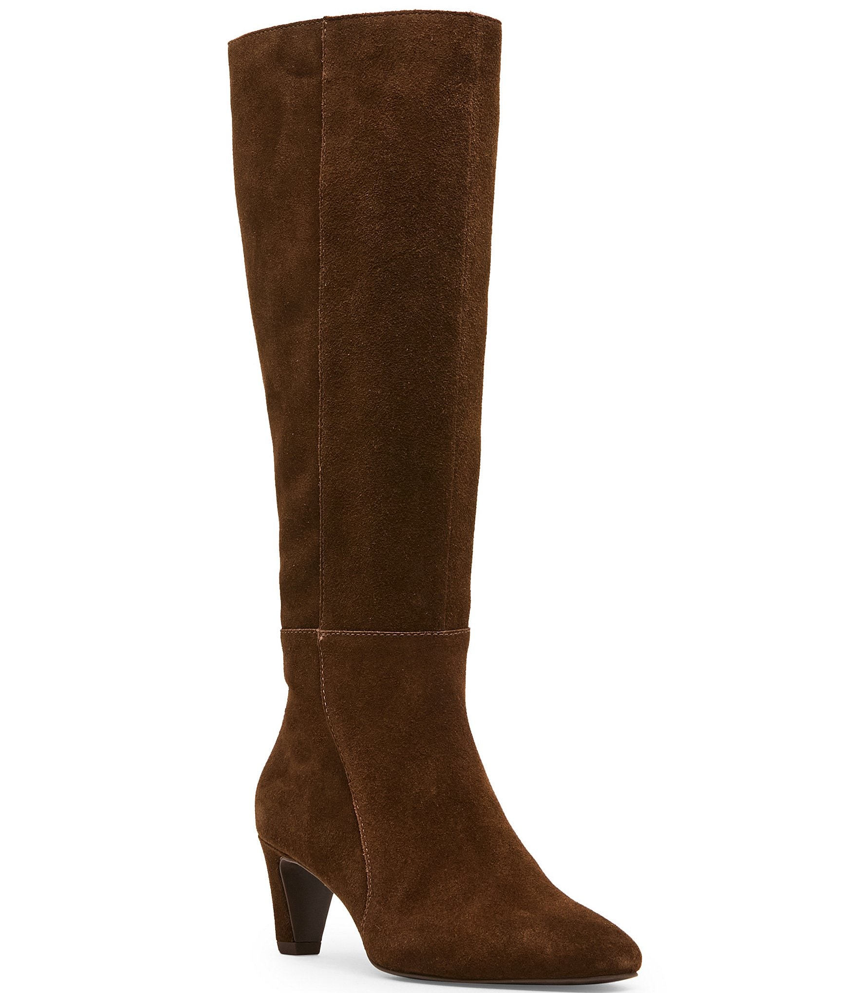 Blondo Nadine Waterproof Suede Tall Dress Boots