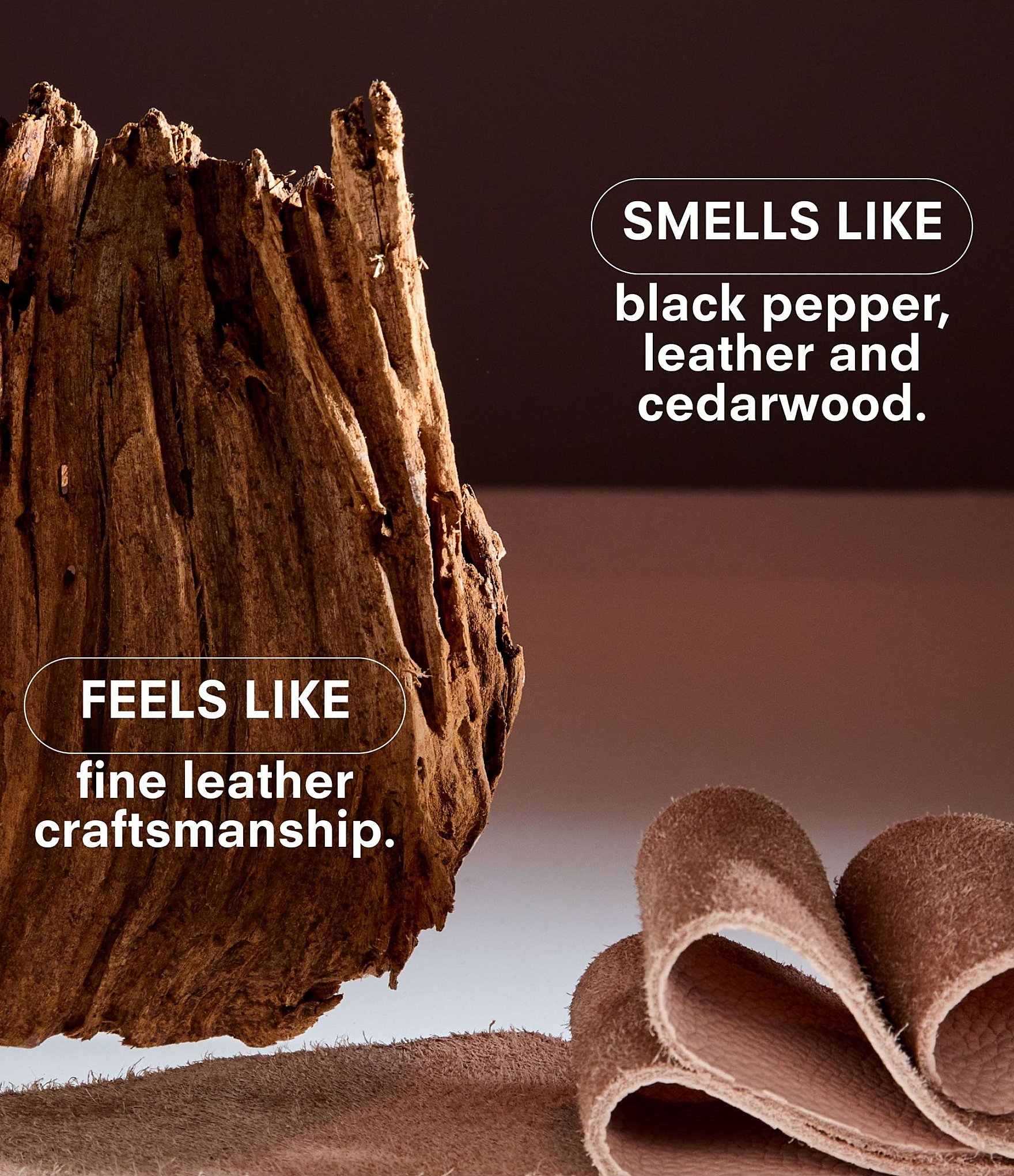 Boy Smells Hard Wood Candle, 8.5 oz.