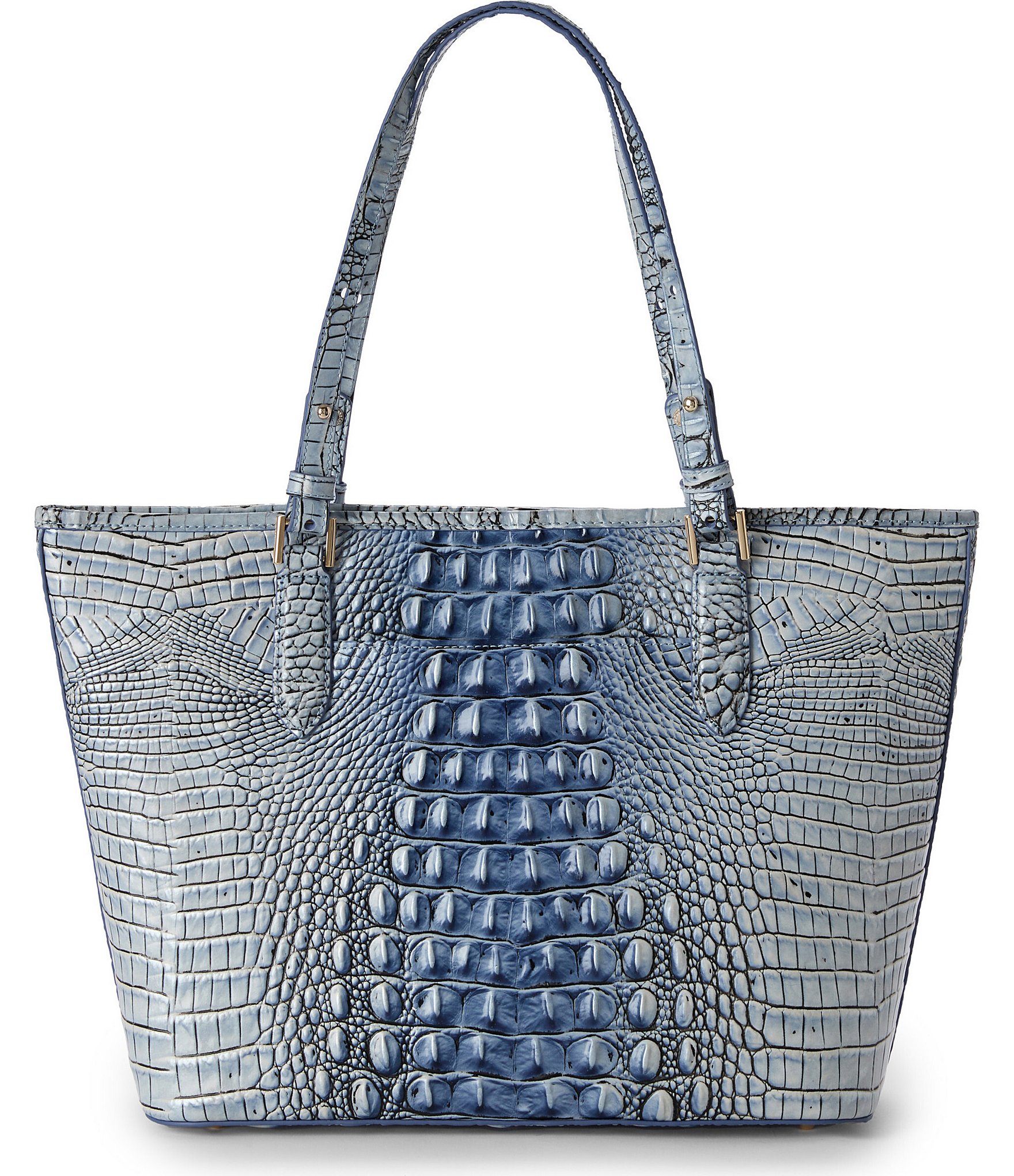 BRAHMIN Ombre Melbourne Collection Medium Asher Tote Bag