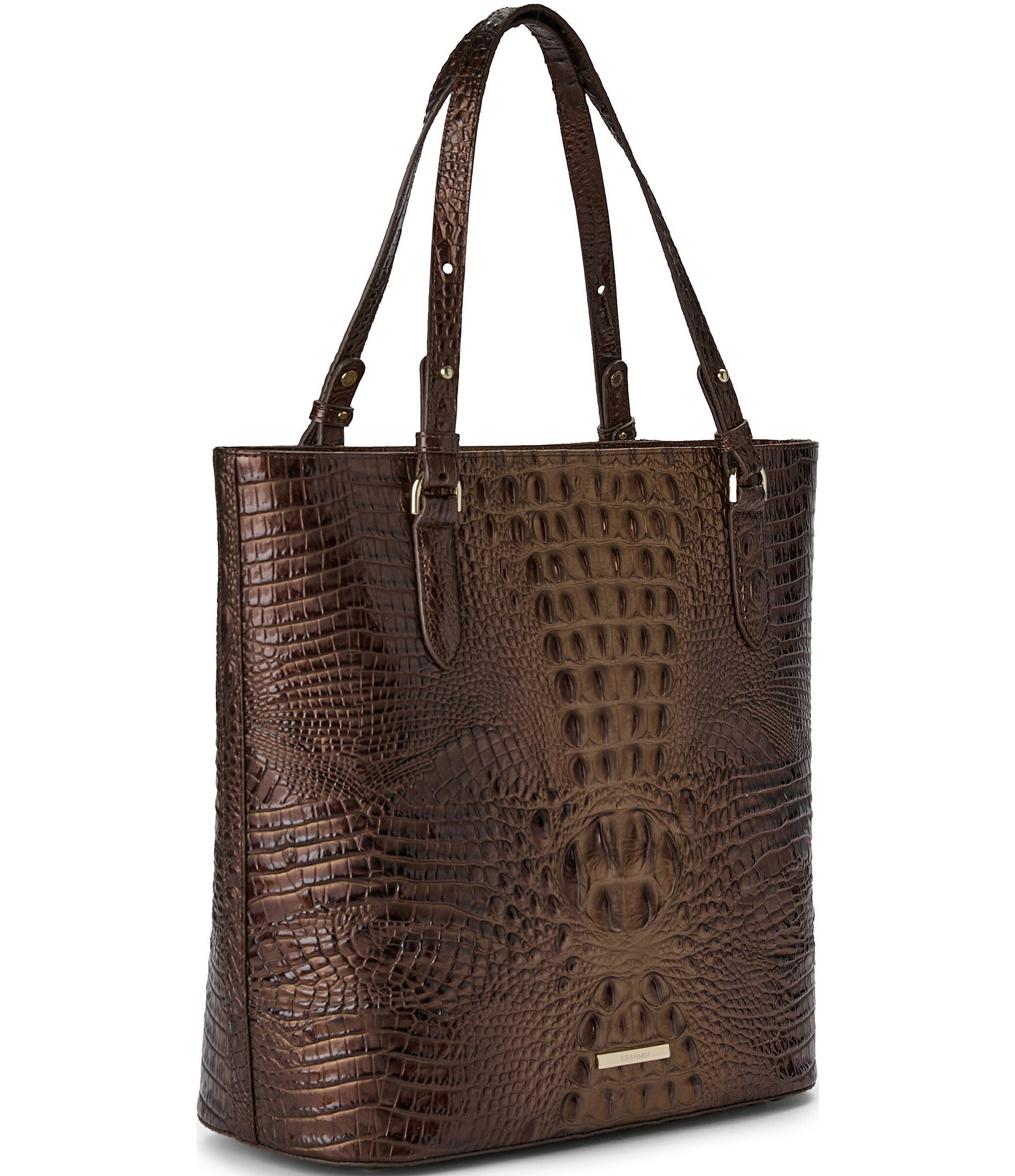 BRAHMIN Ombre Melbourne Collection Ganache Ezra Tote Bag