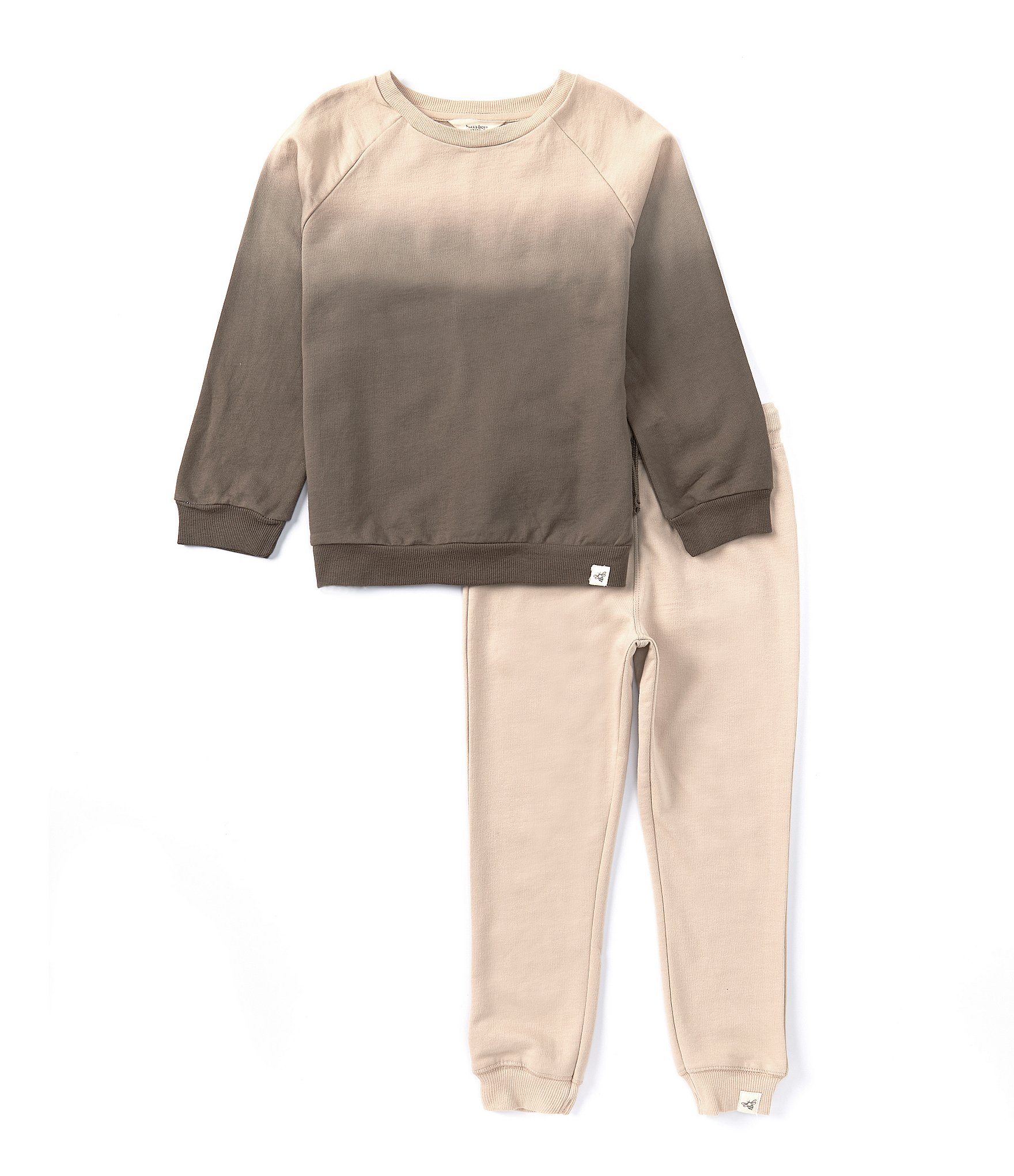 Burt's Bees Little Boys 2T-5T Long Sleeve Dip-Dye Sweatshirt & Solid Jogger Pant Set