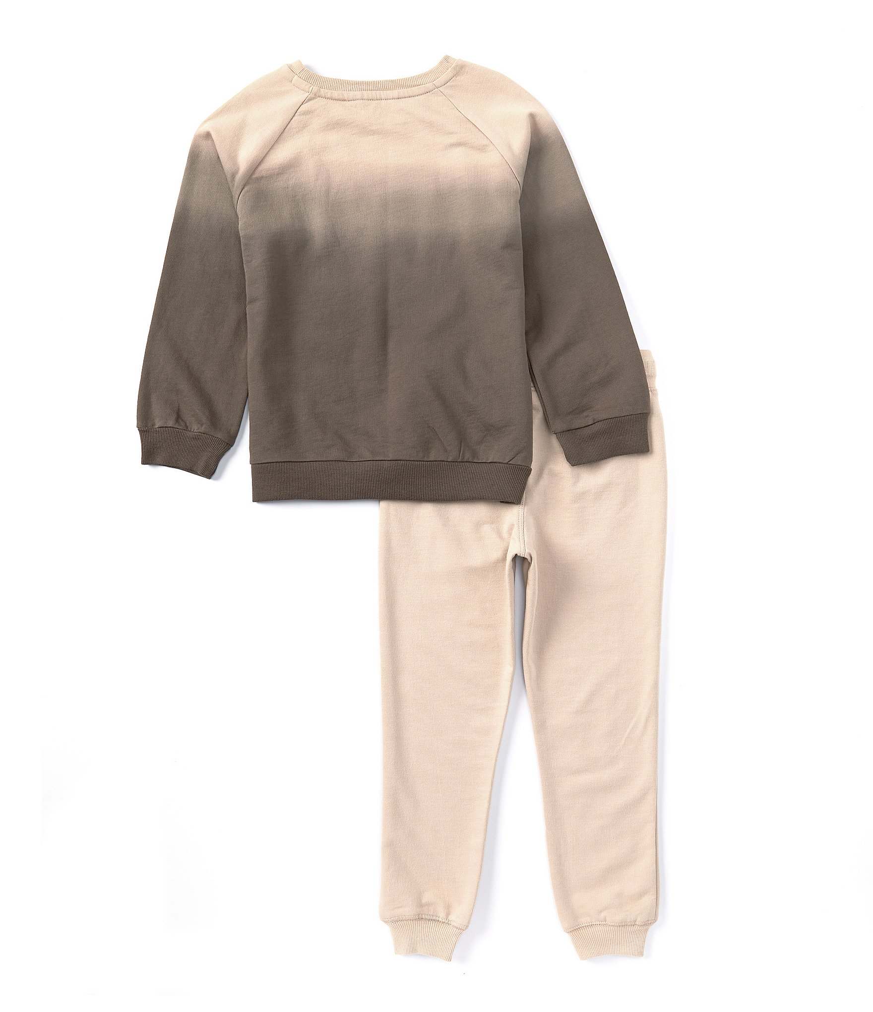 Burt's Bees Little Boys 2T-5T Long Sleeve Dip-Dye Sweatshirt & Solid Jogger Pant Set