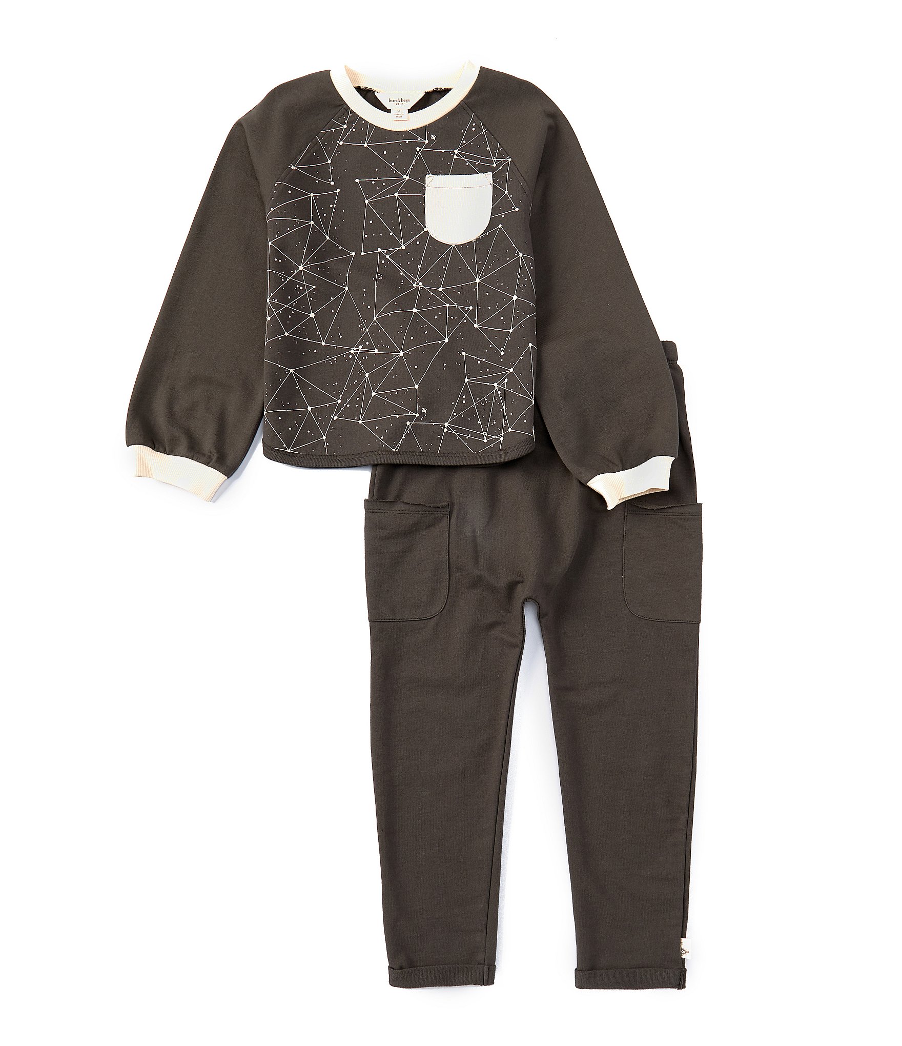 Burt's Bees Little Boys 2T-5T Long-Sleeve Solid/Constellation-Printed Sweatshirt & Solid Jogger Pant Set