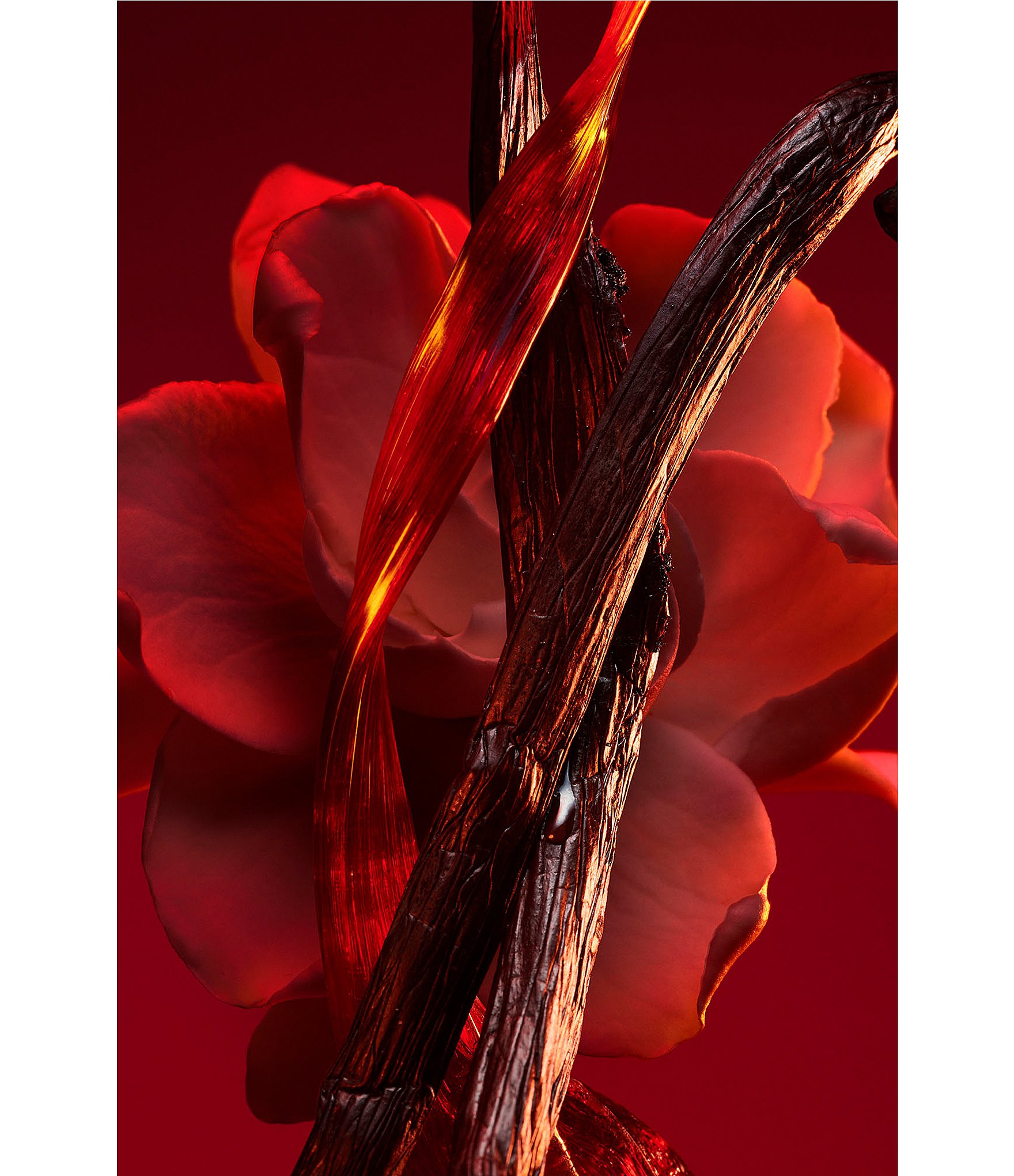 Bvlgari Allegra Baciami Ancora Parfum