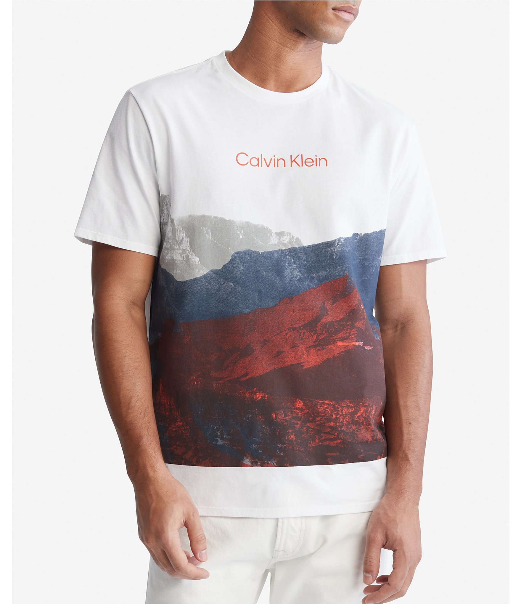 Calvin Klein Men's Spotted Brand T-Shirt