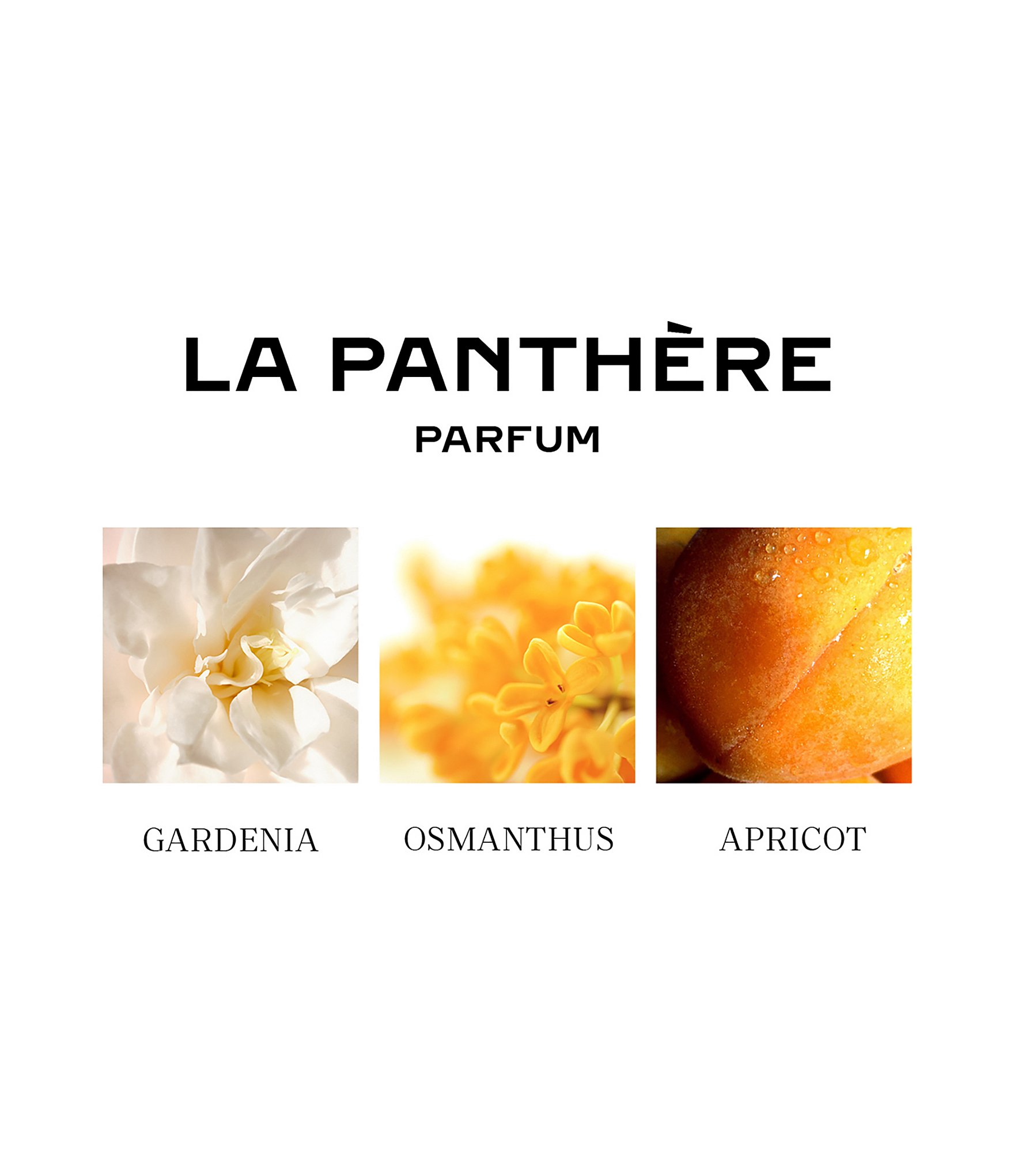 Cartier La Panthere Parfum 3-Piece Gift Set