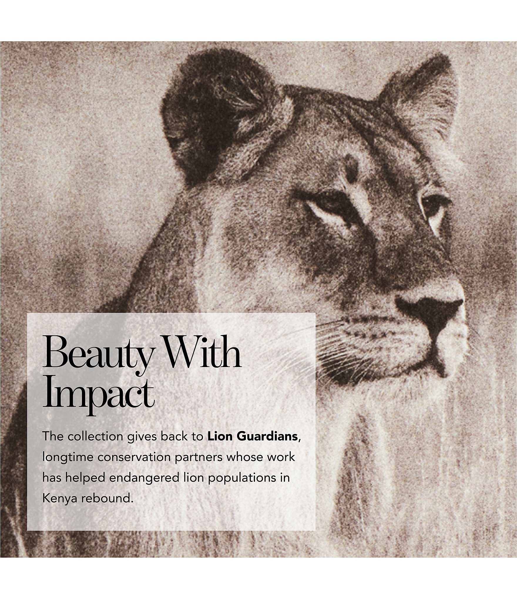 Chantecaille Limited Edition Lion Collection Luminescent Eye Shadow