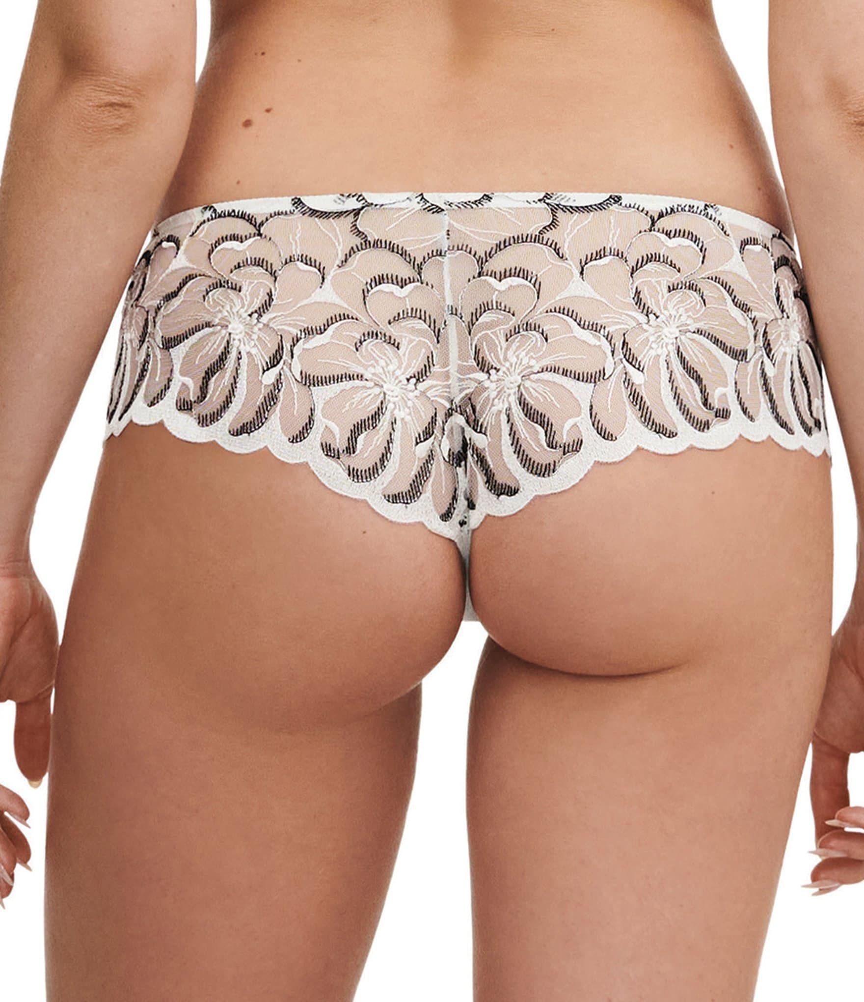 Chantelle Fleur Transparent Embroidered Cheeky Panty