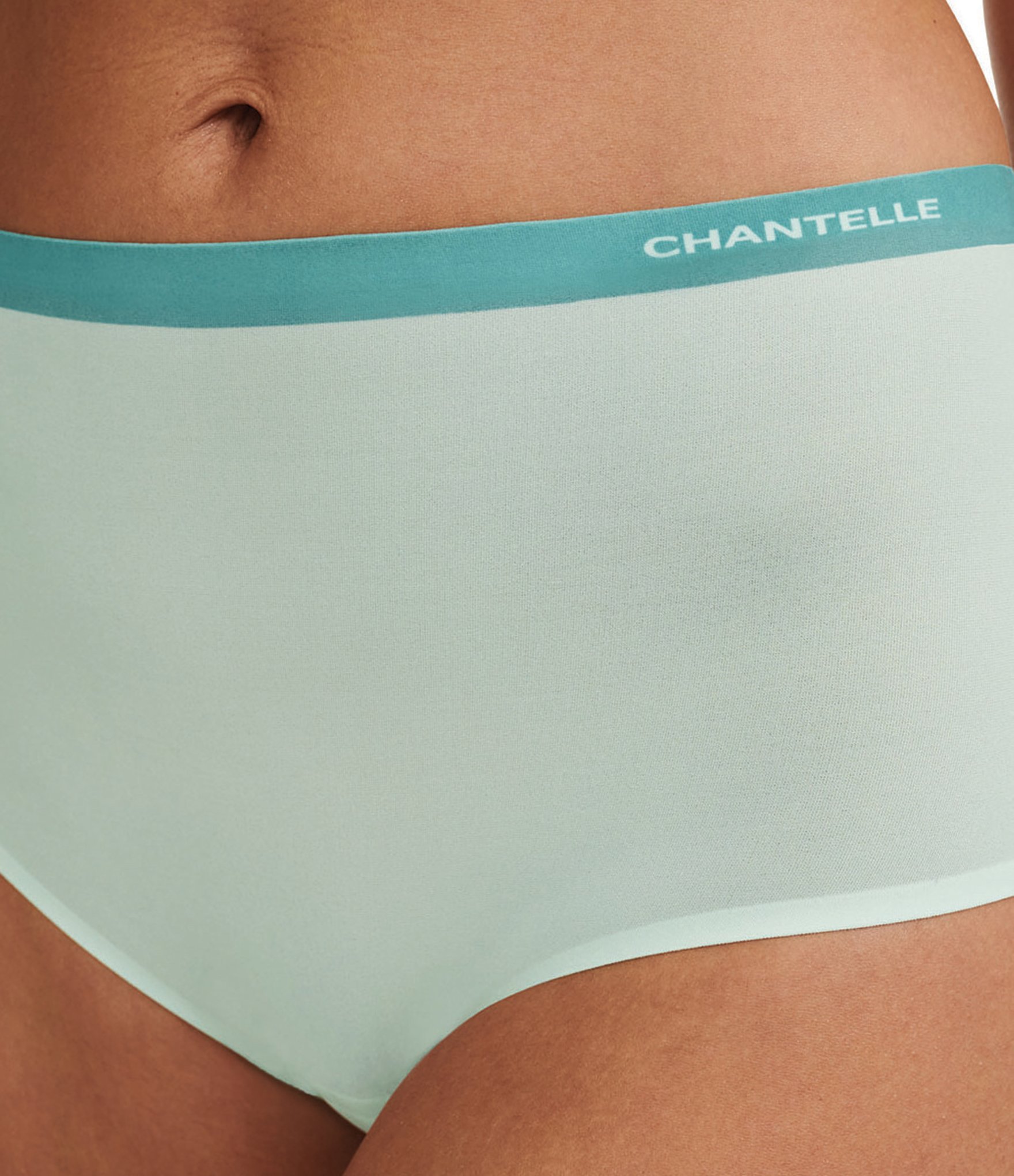 Chantelle Soft Stretch Seamless Brief Panty