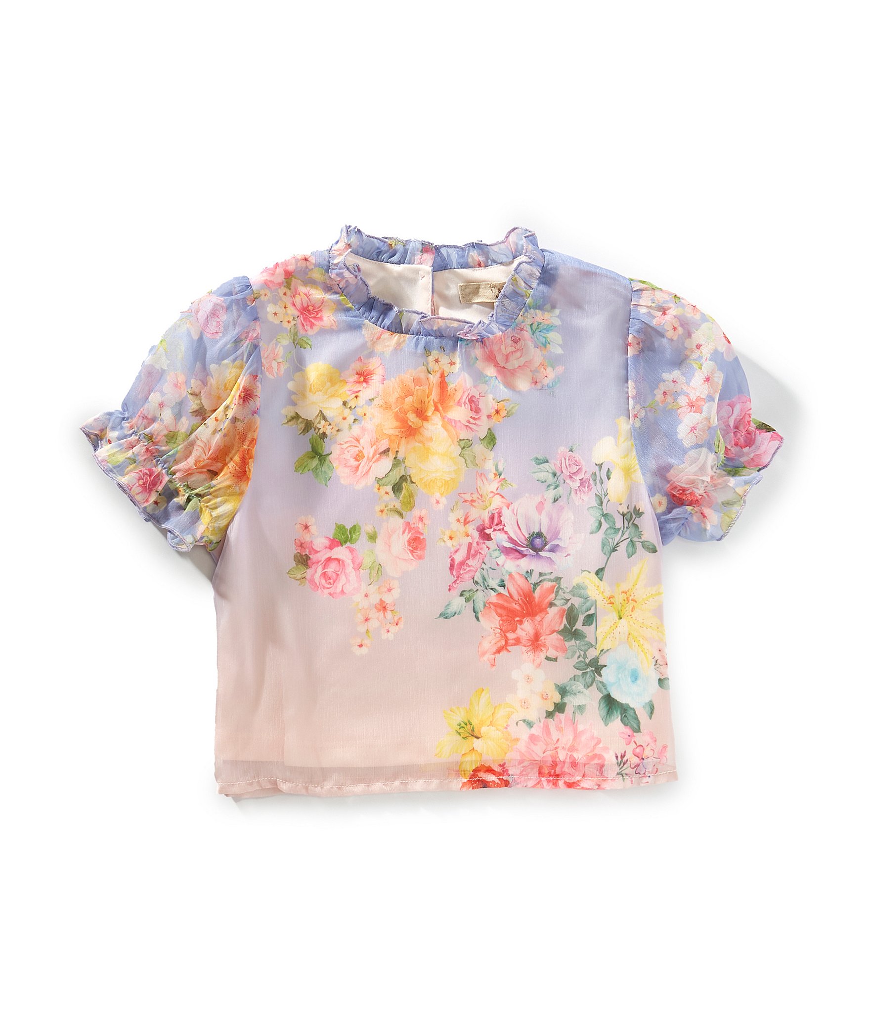 Chelsea & Violet Little Girls 2T-6X Short Sleeve Floral Mesh