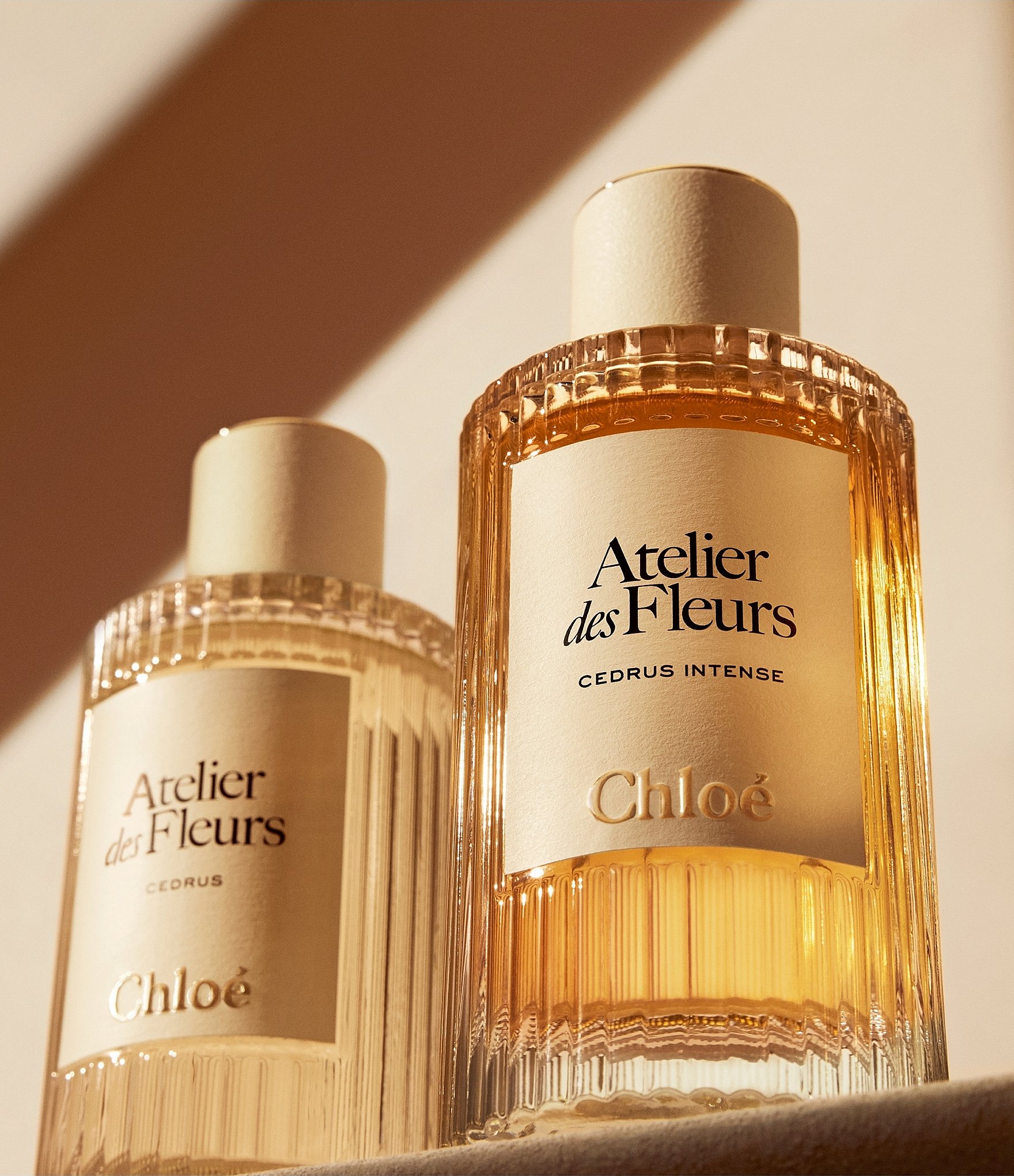 Chloe Atelier des Fleurs Cedrus Eau de Parfum