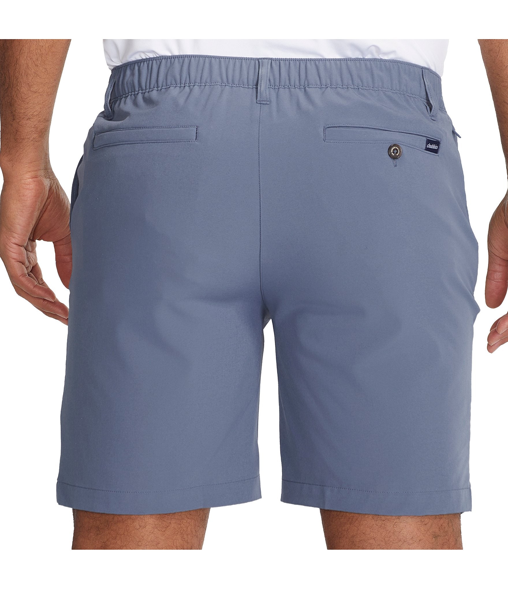 Chubbies Ice Caps Everywear Performance 8#double; Inseam Shorts