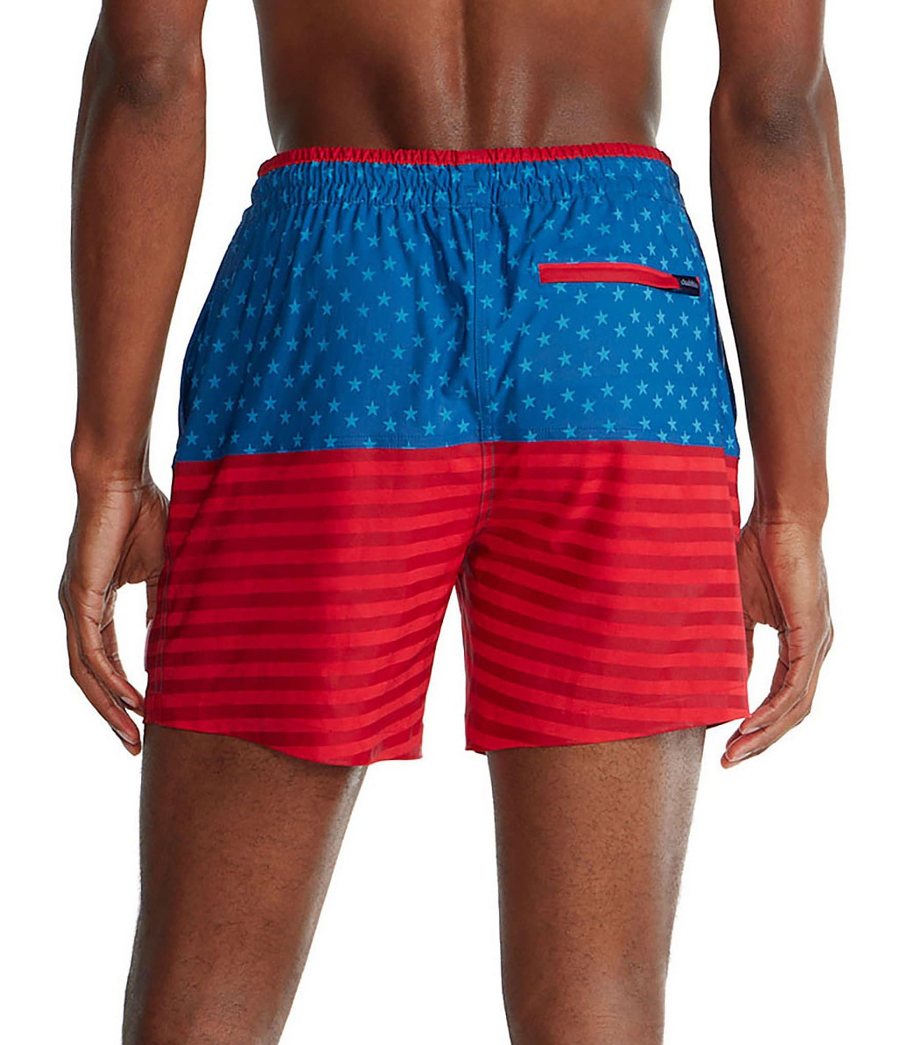 Chubbies The Liberties 5.5#double; Inseam Swim Trunks