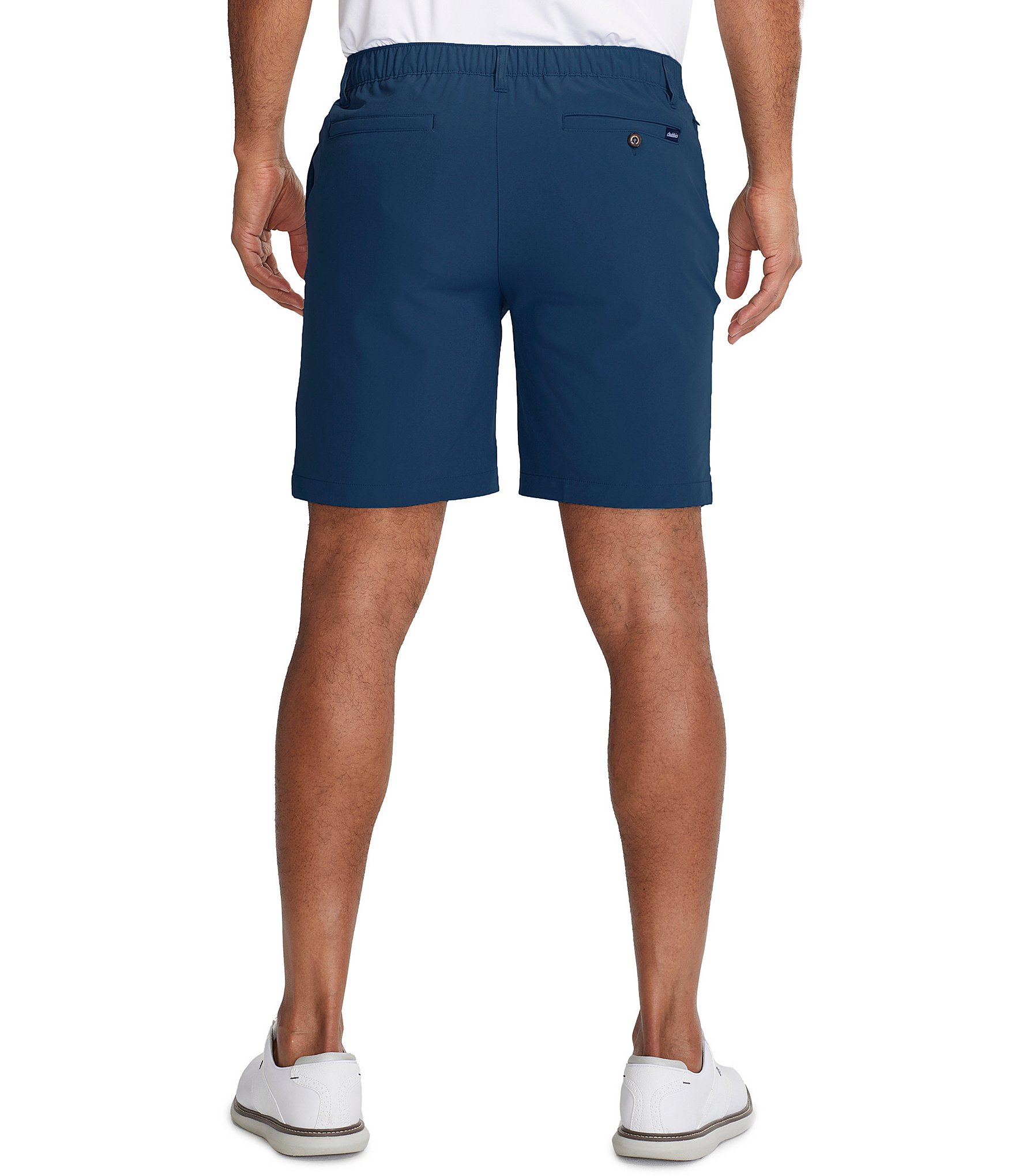 Chubbies The New Avenues Everywhere Performance 8#double; Inseam Shorts