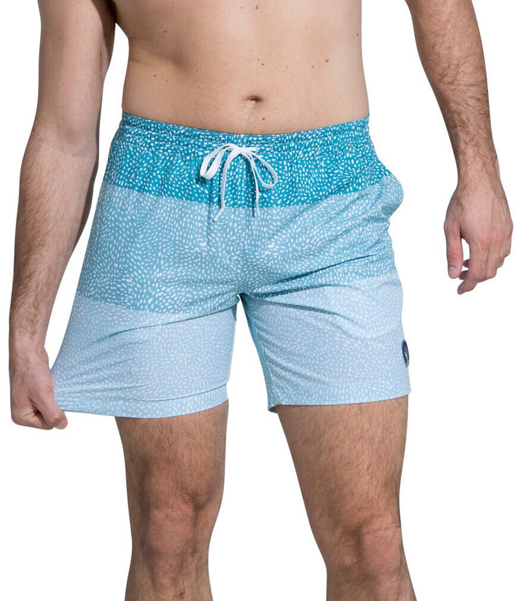 Chubbies Whale Shark 7#double; Inseam Swim Trunks