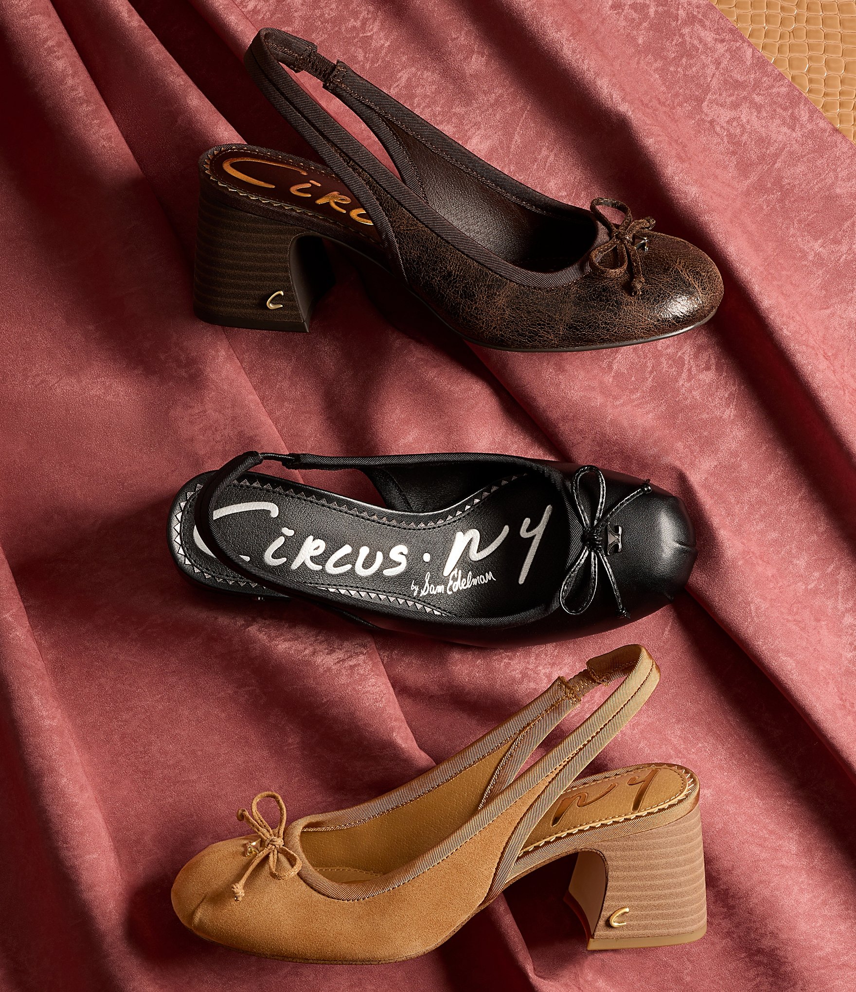 Circus NY by Sam Edelman Diane Distressed Bow Slingback Ballet Pumps