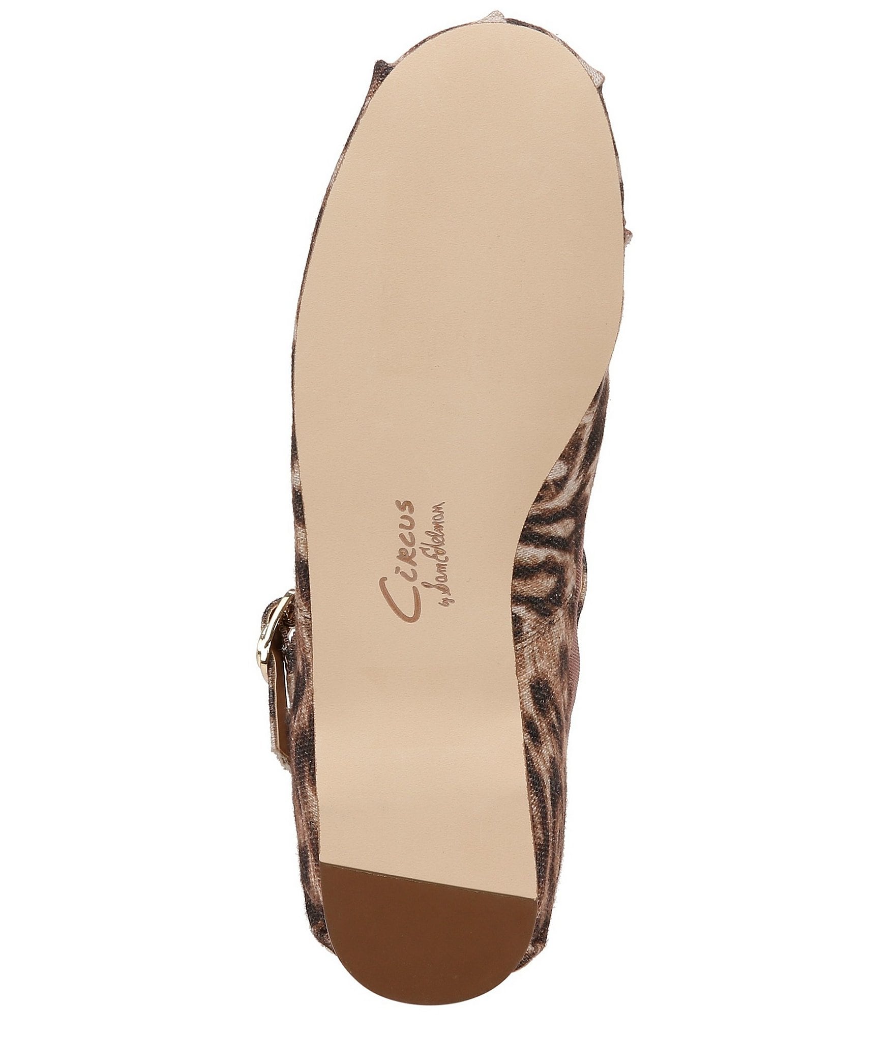 Circus NY by Sam Edelman Zuri Leopard Print Bow Ballerina Flats