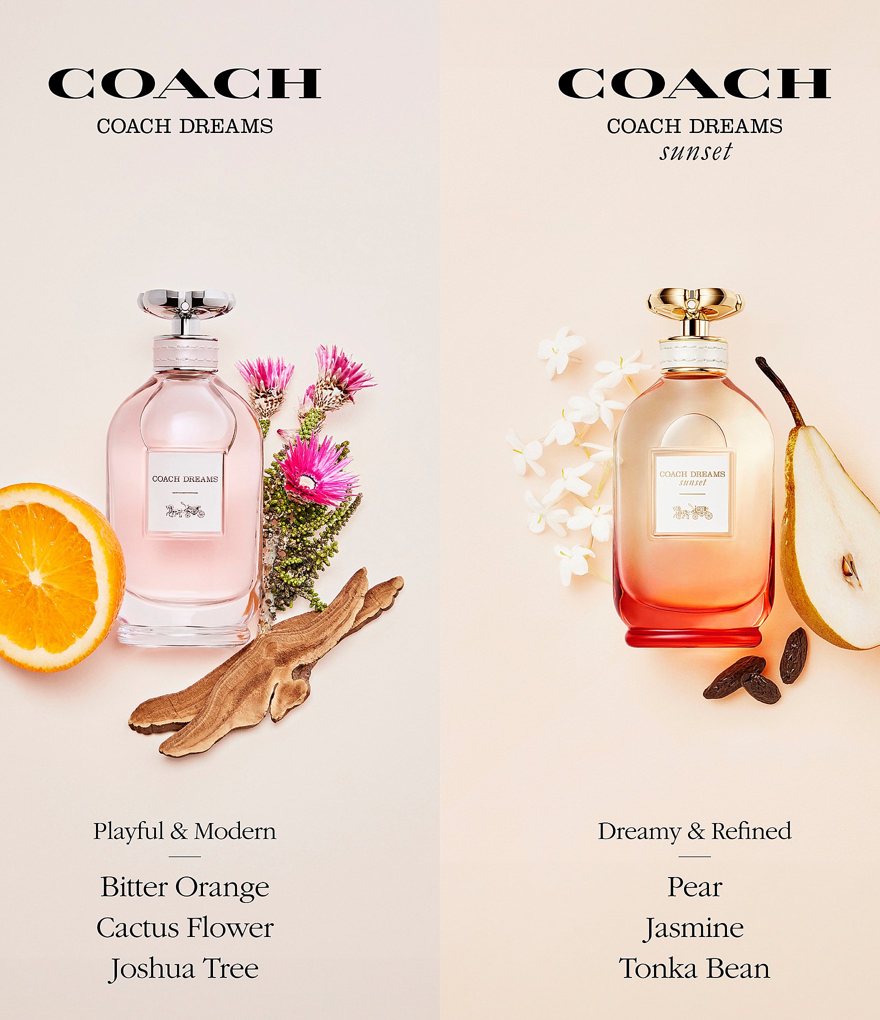 COACH Coach Dreams Sunset Eau de Parfum