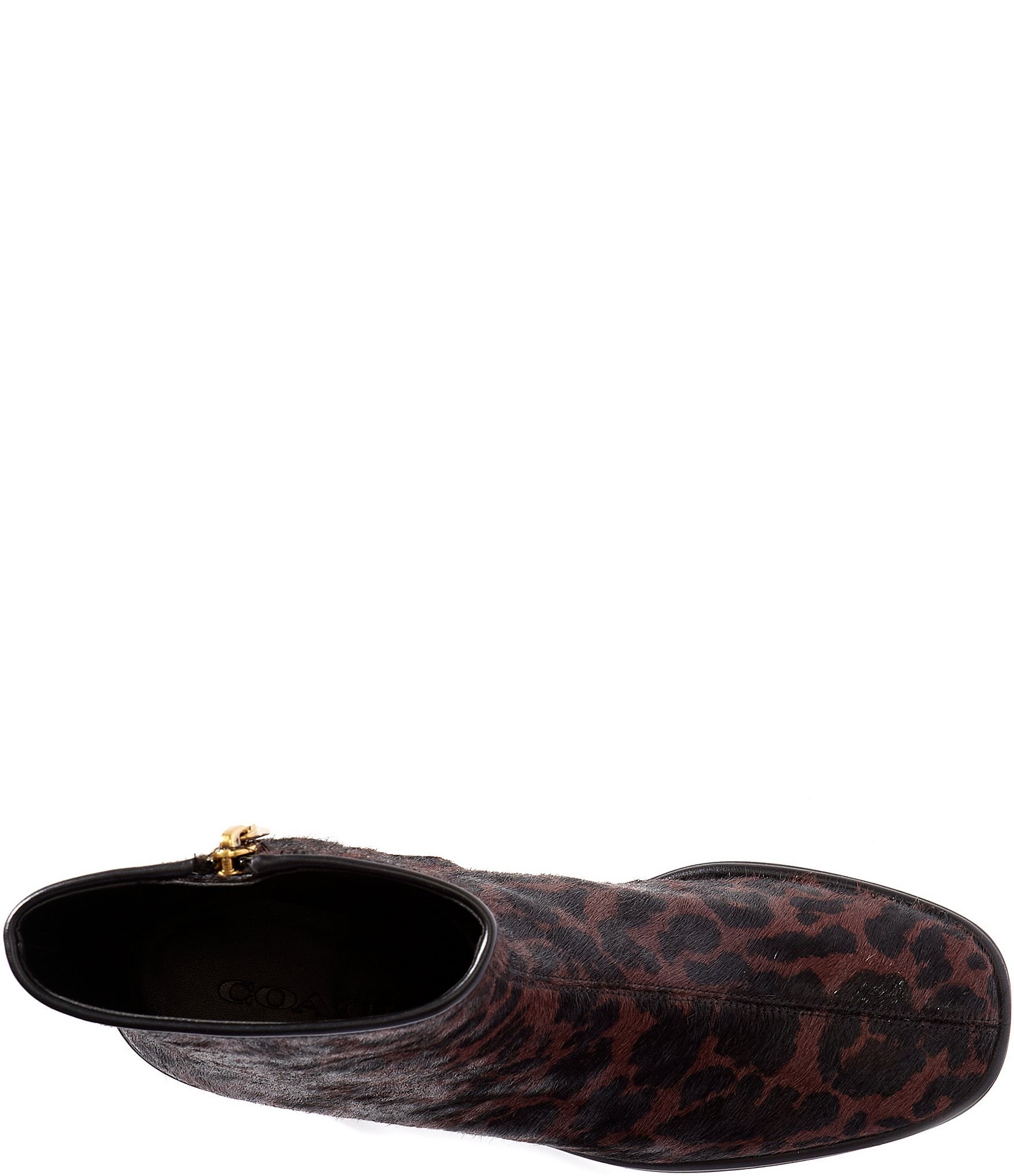 COACH Gigi Leopard Print Haircalf Booties