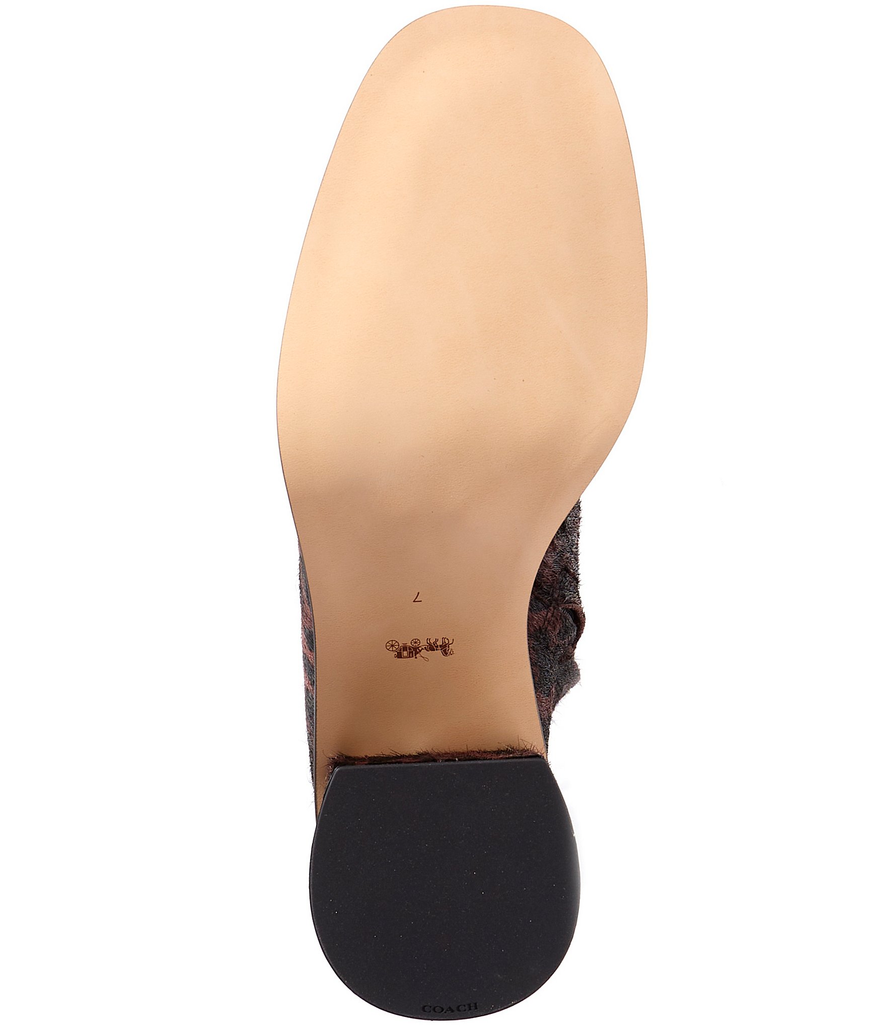 COACH Gigi Leopard Print Haircalf Booties