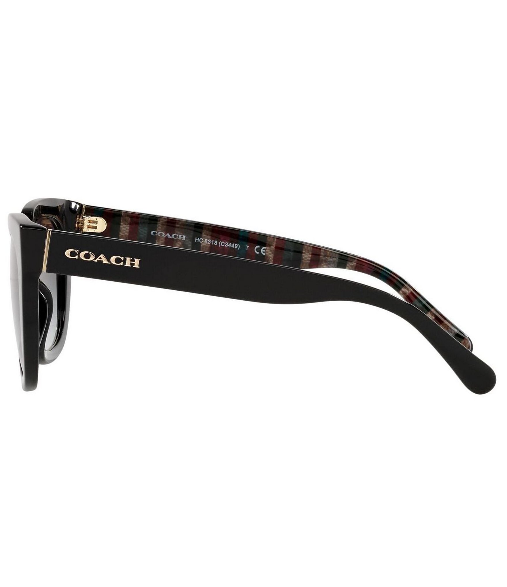 COACH Women's Hc8318 52mm Sunglasses