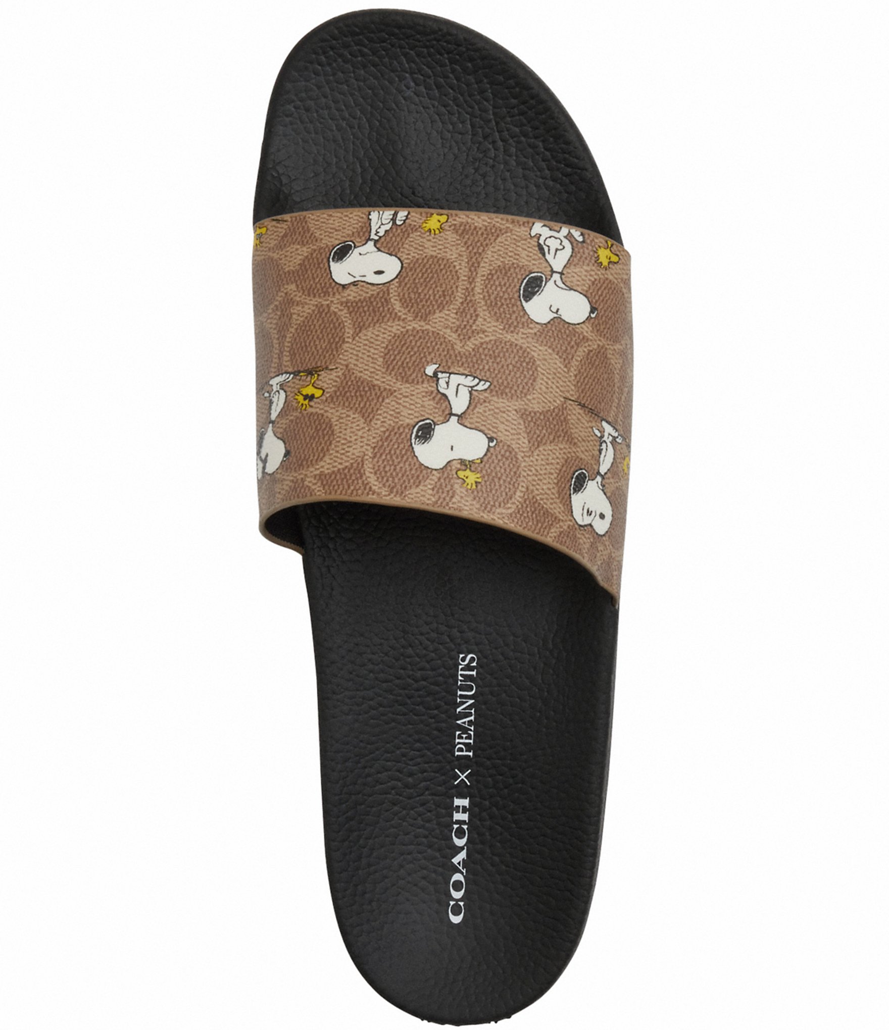 COACH X Peanuts Pool Slide Sandals