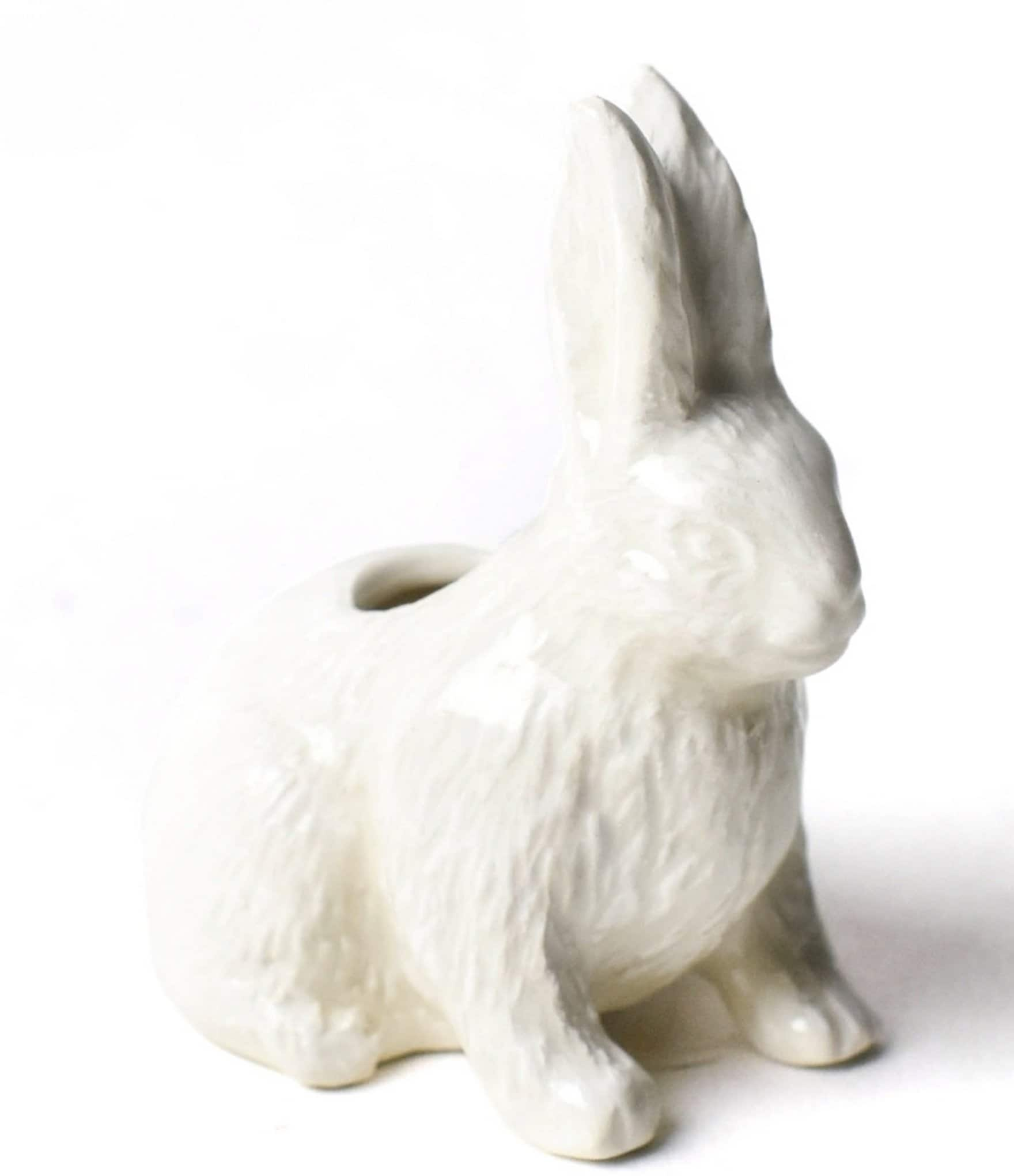 Coton Colors Rabbit Shaped Toothpick Holder | Dillard's