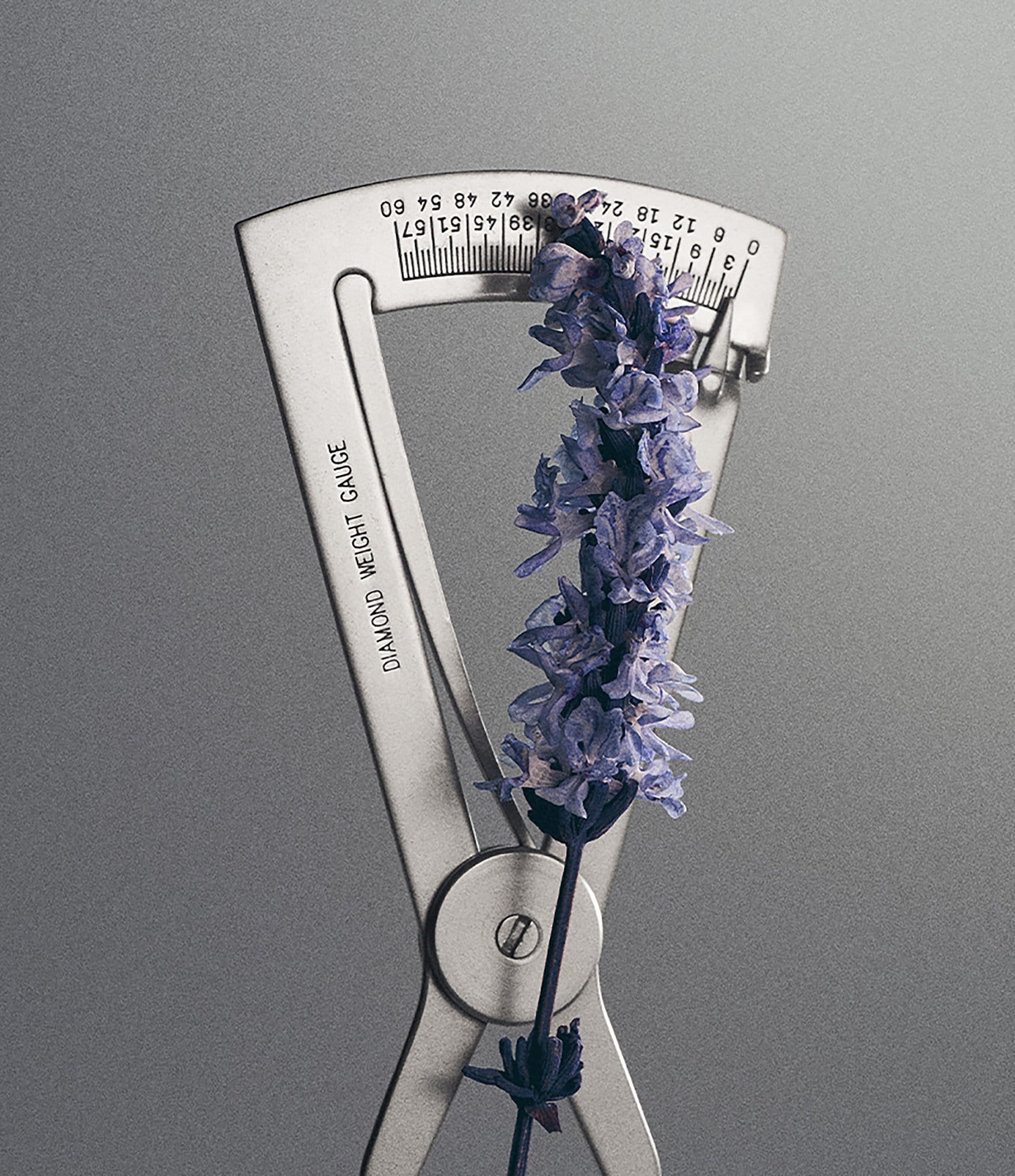 CREED Iris Debonair Eau de Parfum