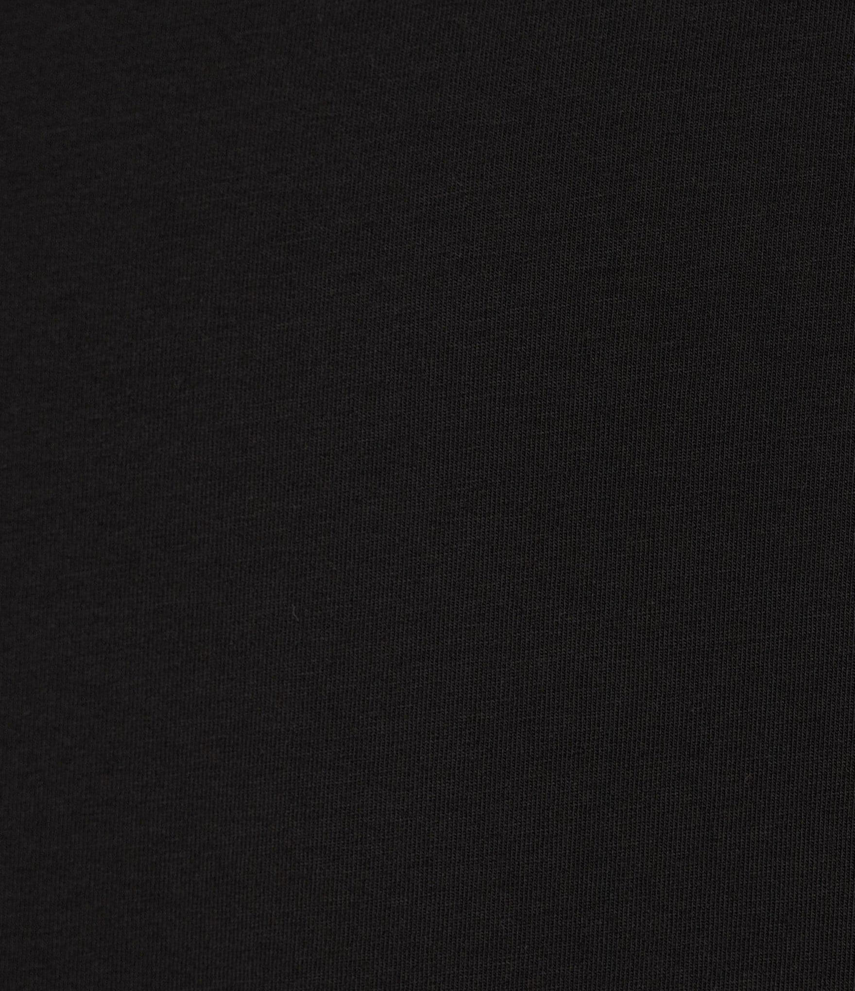 Cremieux Blue Label Solid Crew Long Sleeve T-Shirt