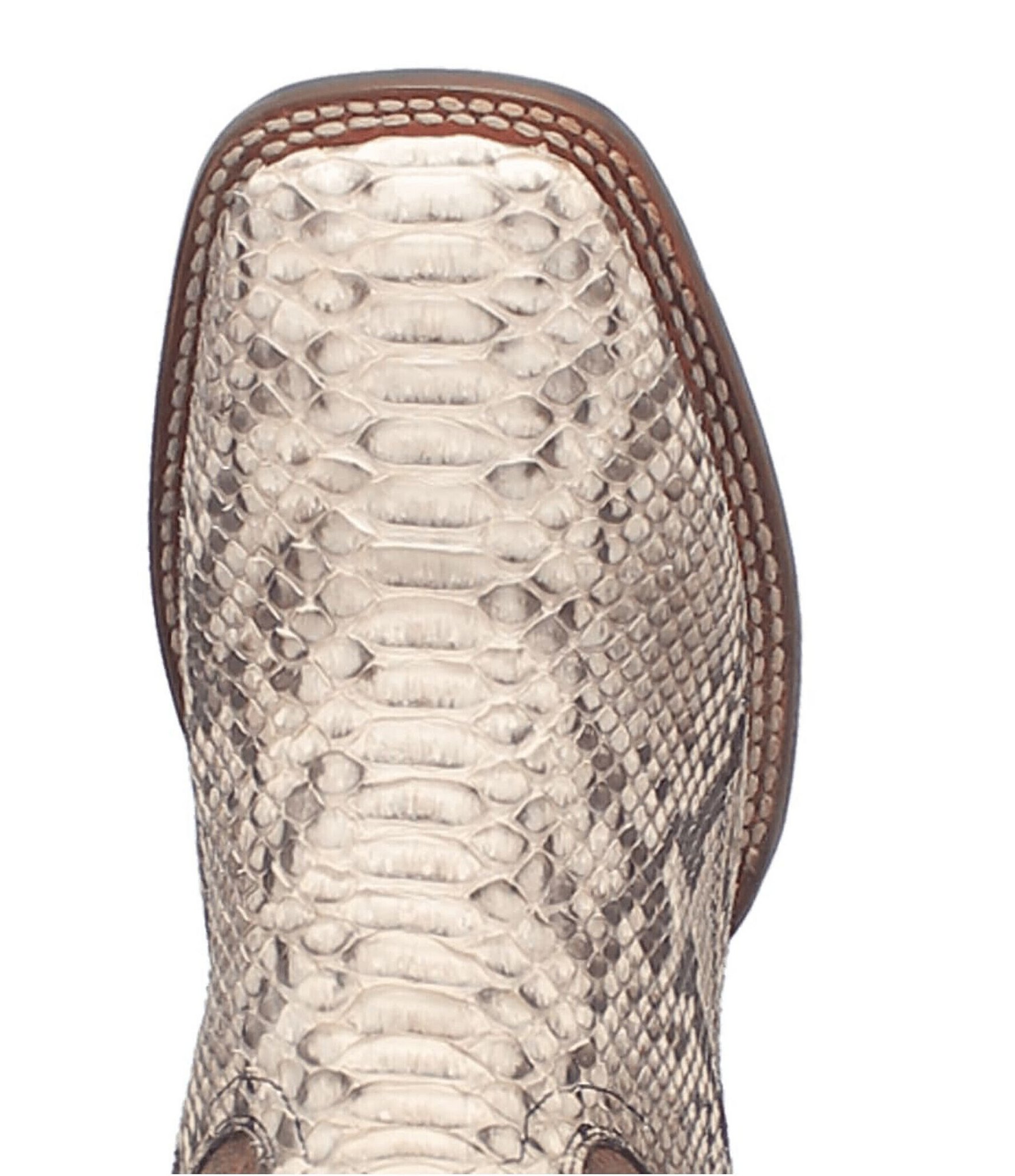 Dan Post Men's Brutus 11#double; Python Snake Square Toe Western Boots