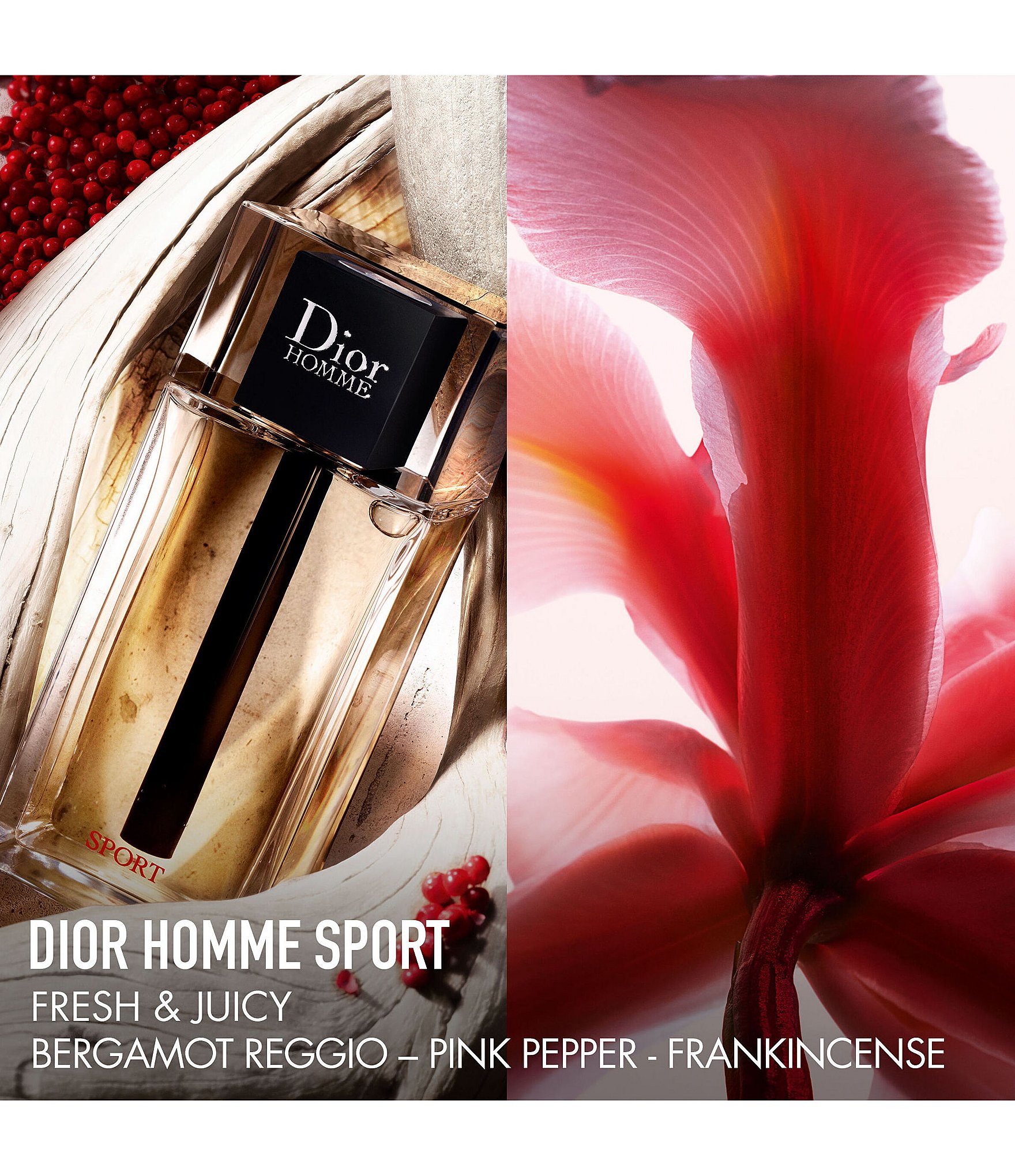 Dior Dior Homme Sport Eau de Toilette