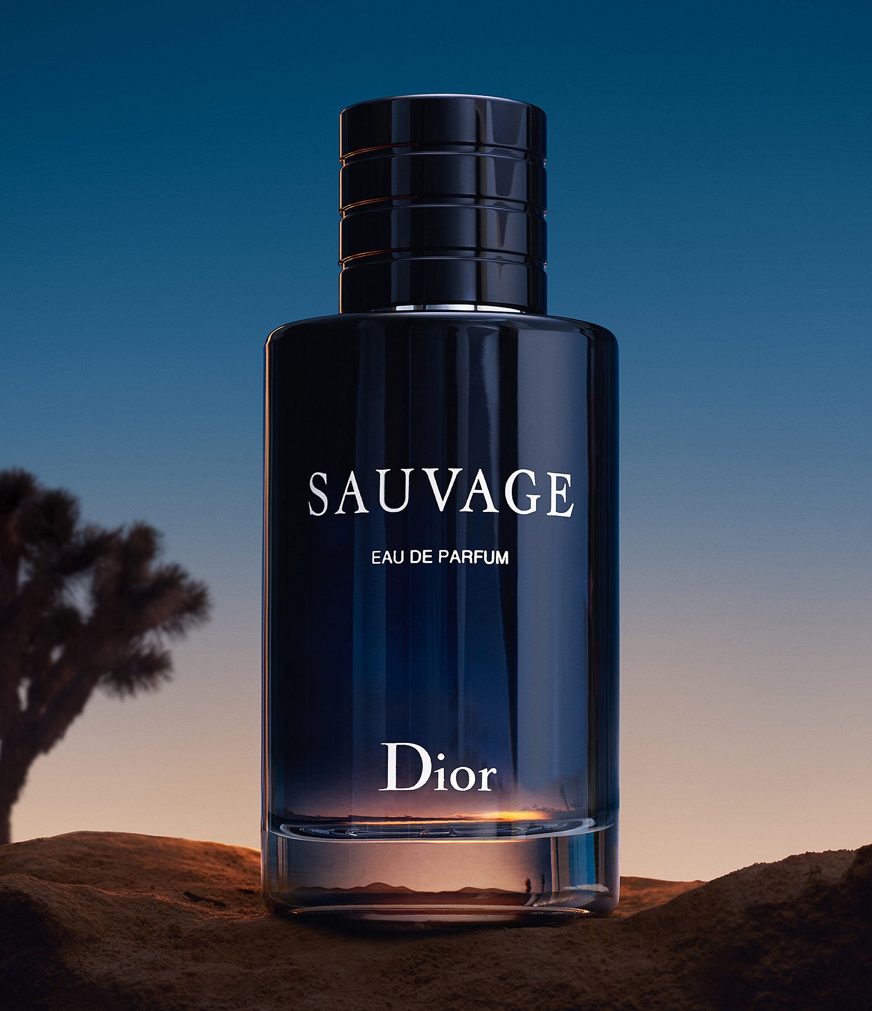 Dior Sauvage Eau de Parfum