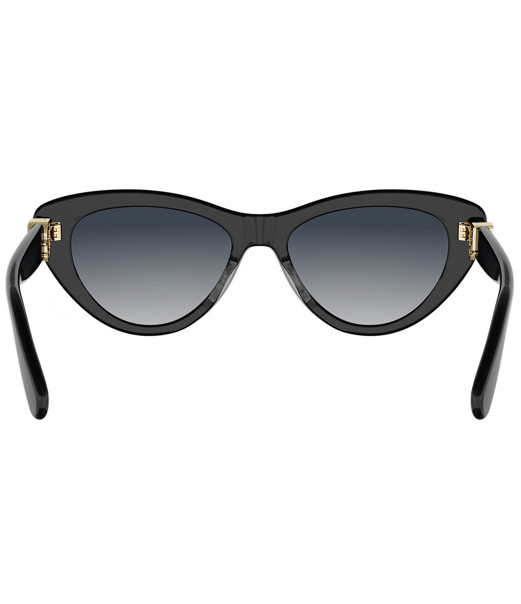 Dior Women's Dior Oblique B2I 55mm Cat Eye Sunglasses