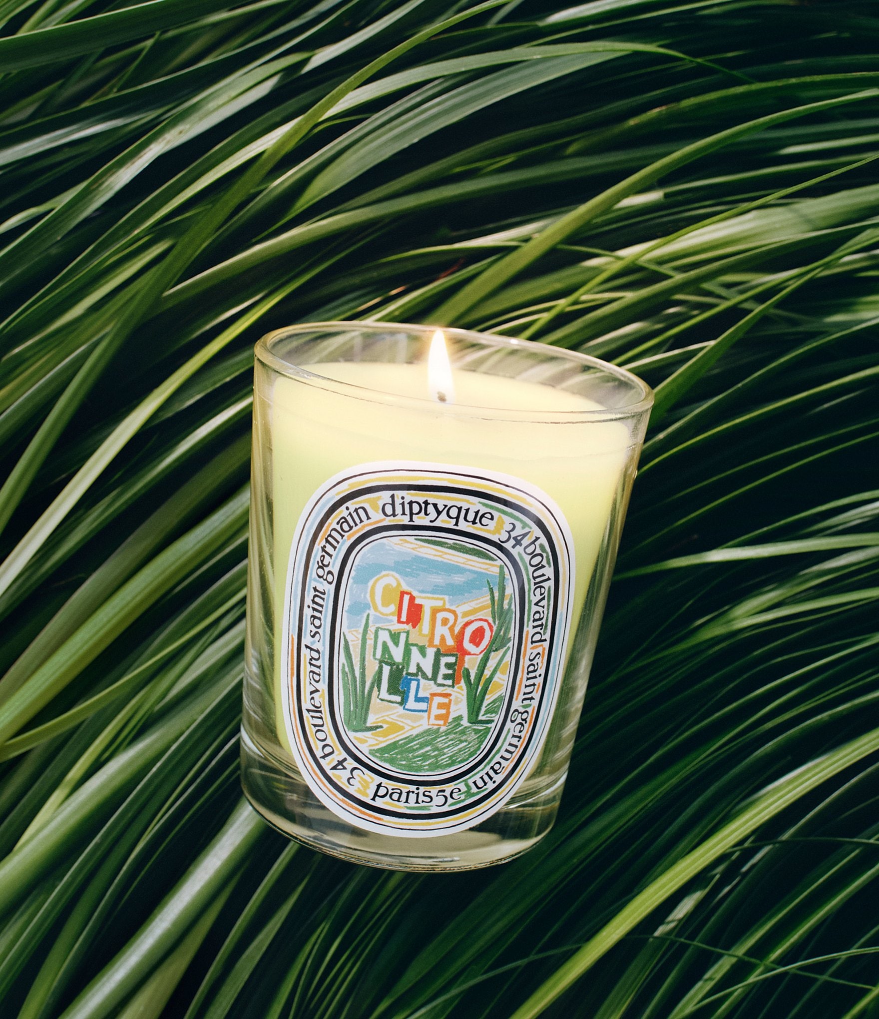 DIPTYQUE Citronnelle (Lemongrass) Classic Candle 6.5 oz.