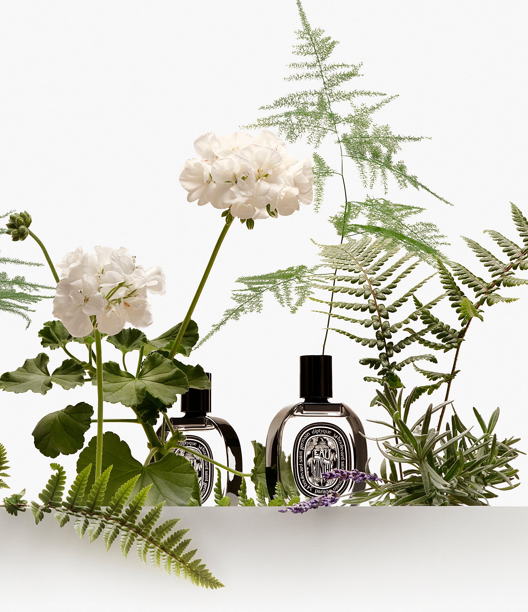 DIPTYQUE Eau de Minthe Eau de Parfum