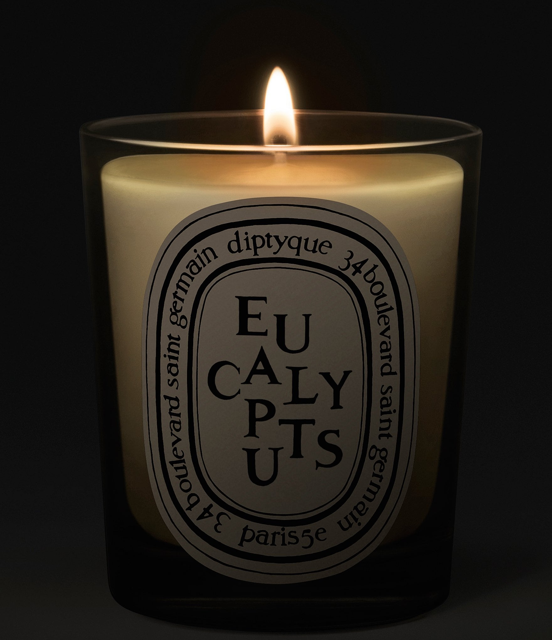 DIPTYQUE Eucalyptus Classic Candle