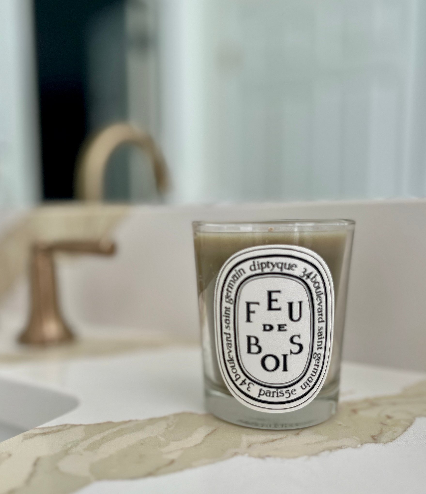 DIPTYQUE Feu de Bois (Wood Fire) Candle