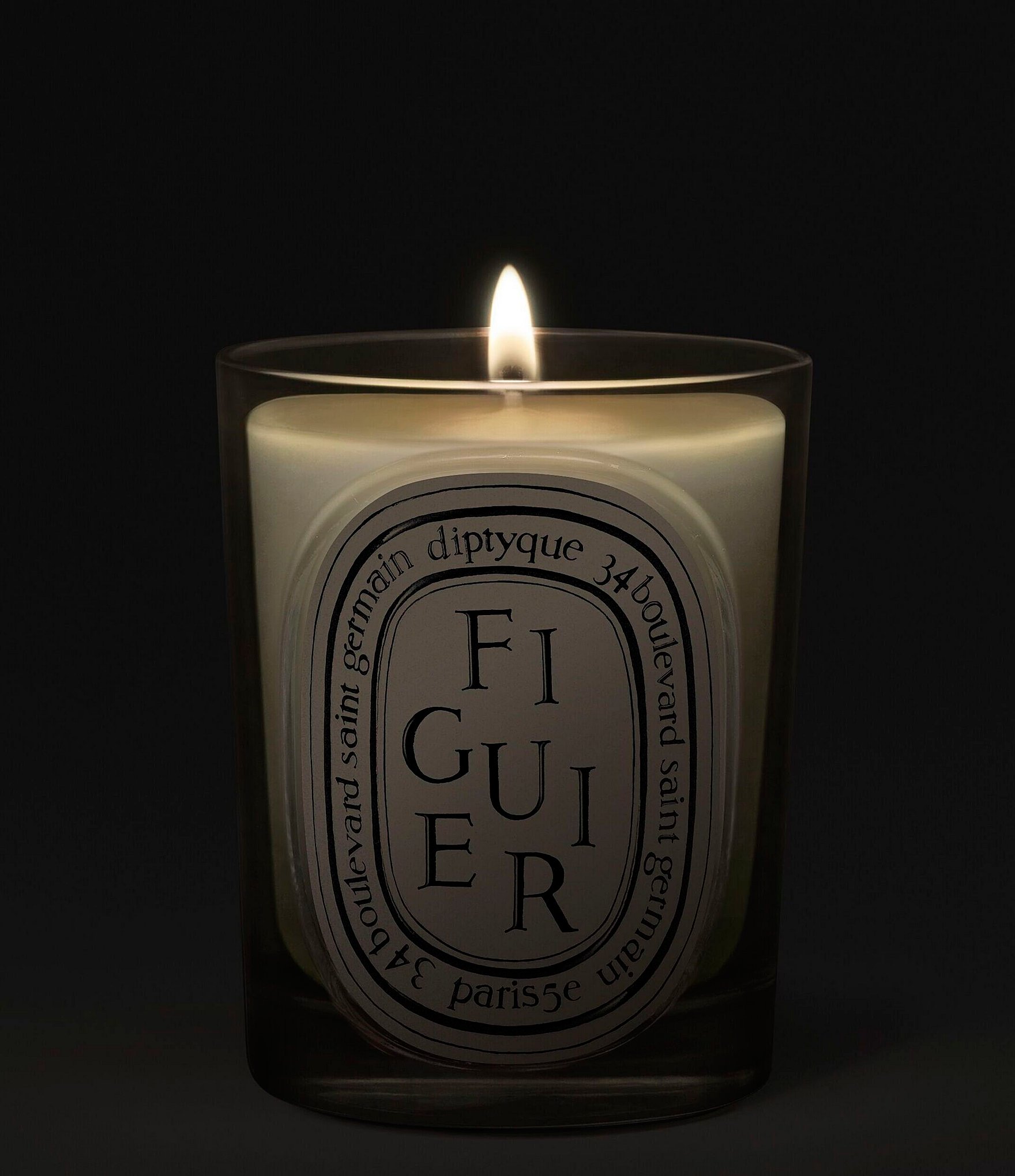 DIPTYQUE Figuier (Fig Tree) Classic Candle