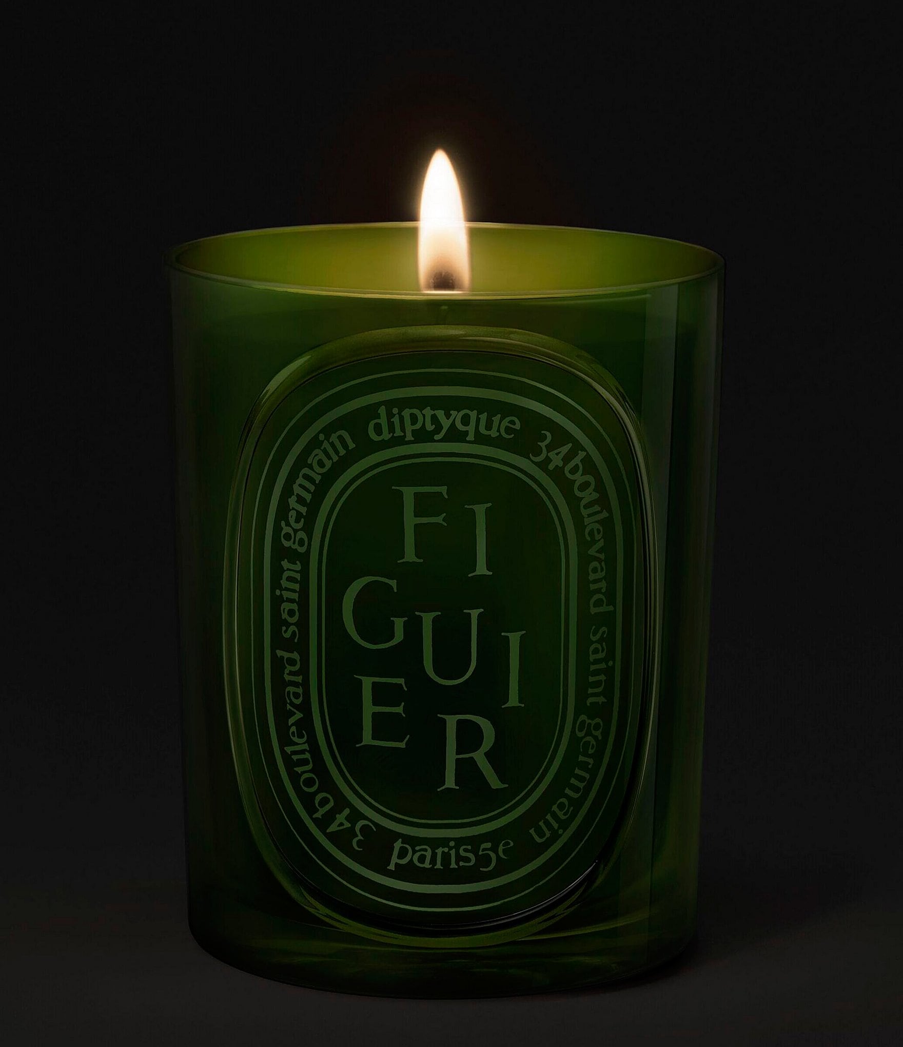 DIPTYQUE Figuier (Fig Tree) Medium Candle