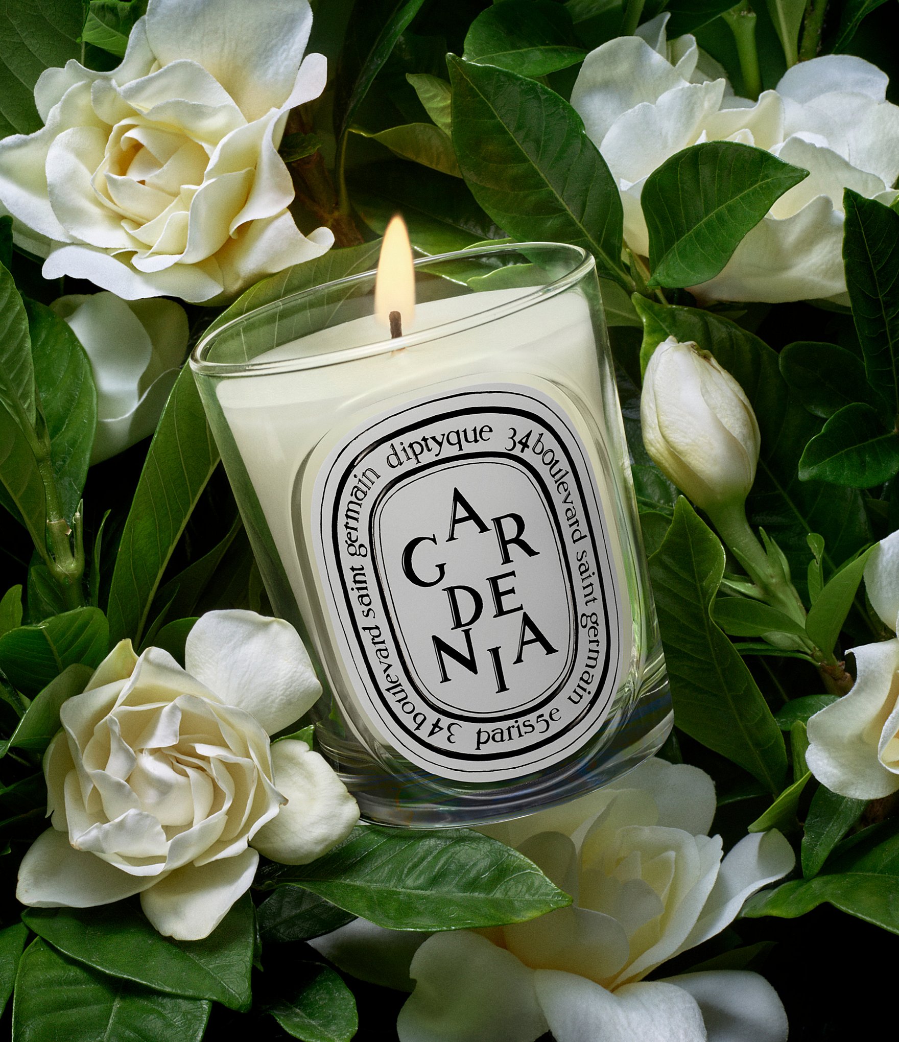 DIPTYQUE Gardenia Classic Candle, 6.7 oz.