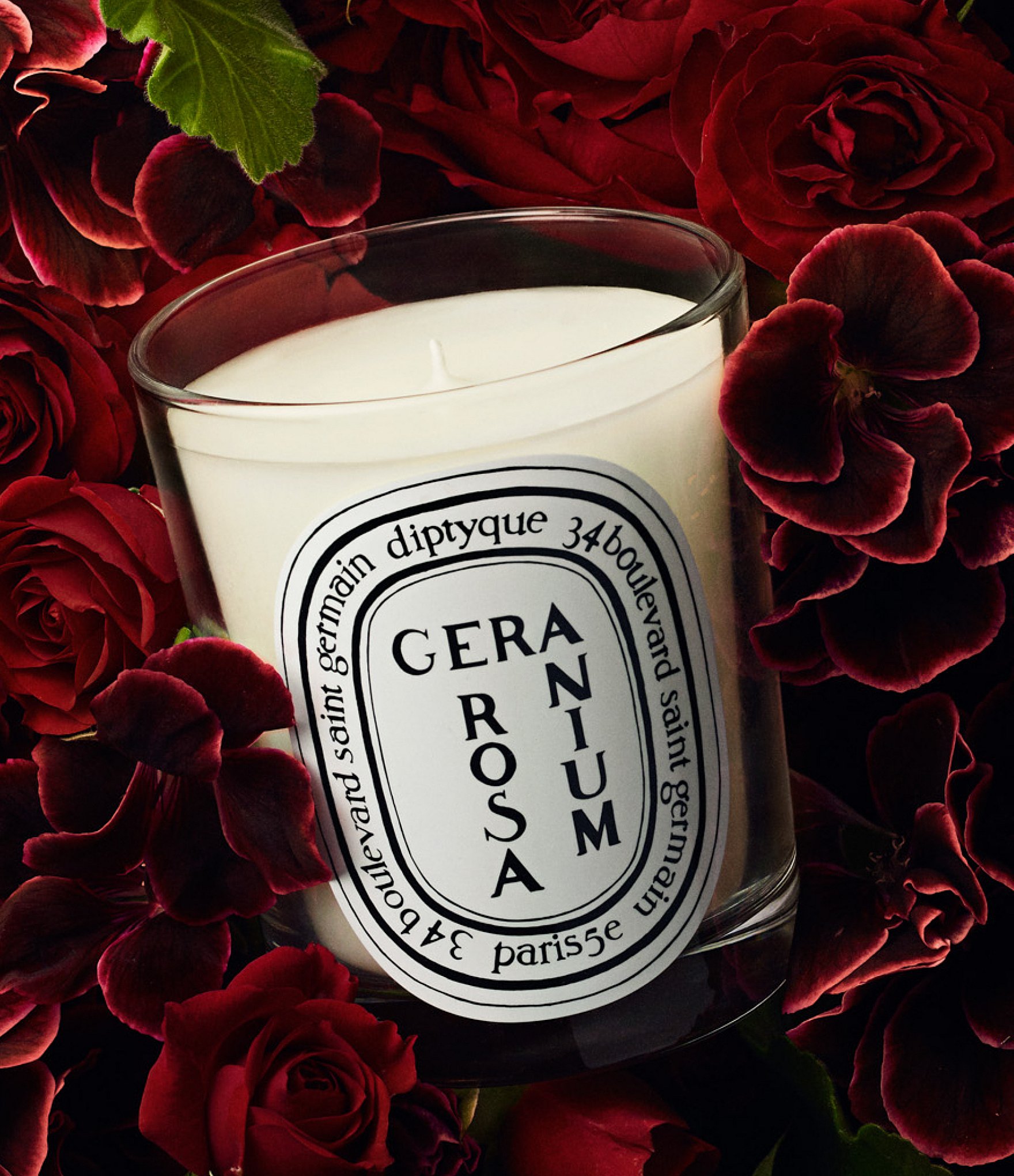 DIPTYQUE Geranium Rosa Classic Candle