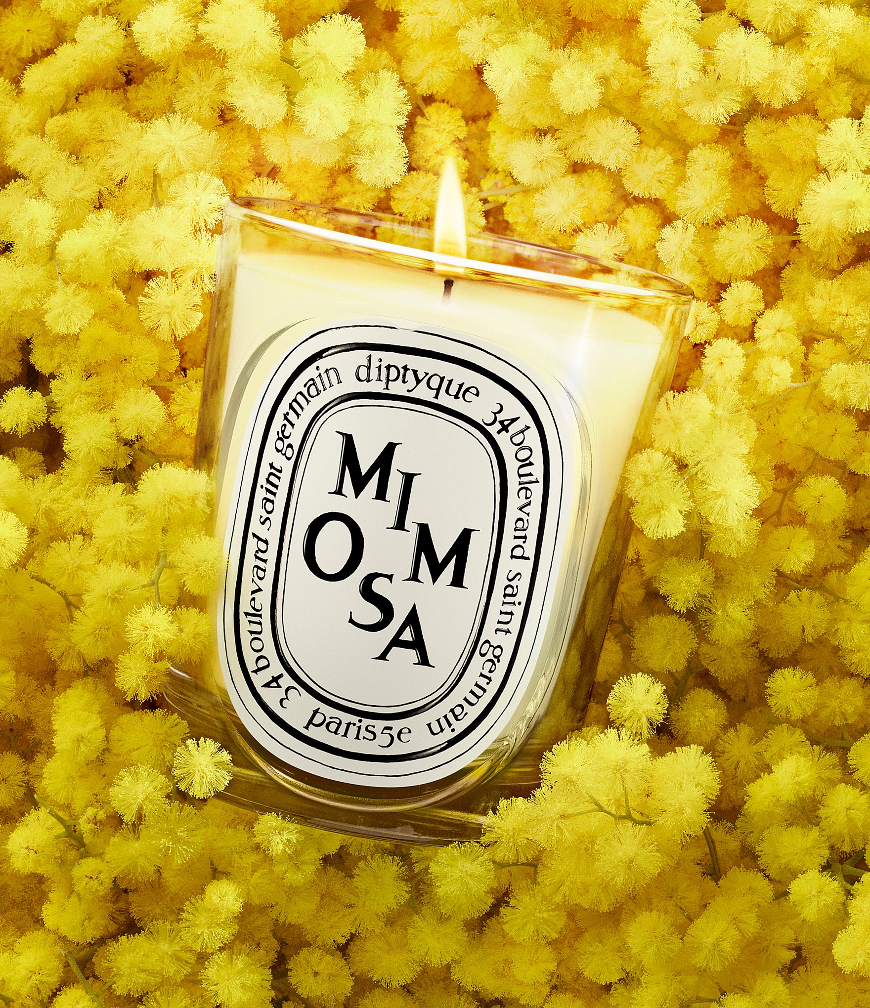 DIPTYQUE Mimosa Classic Candle, 6.7 oz.
